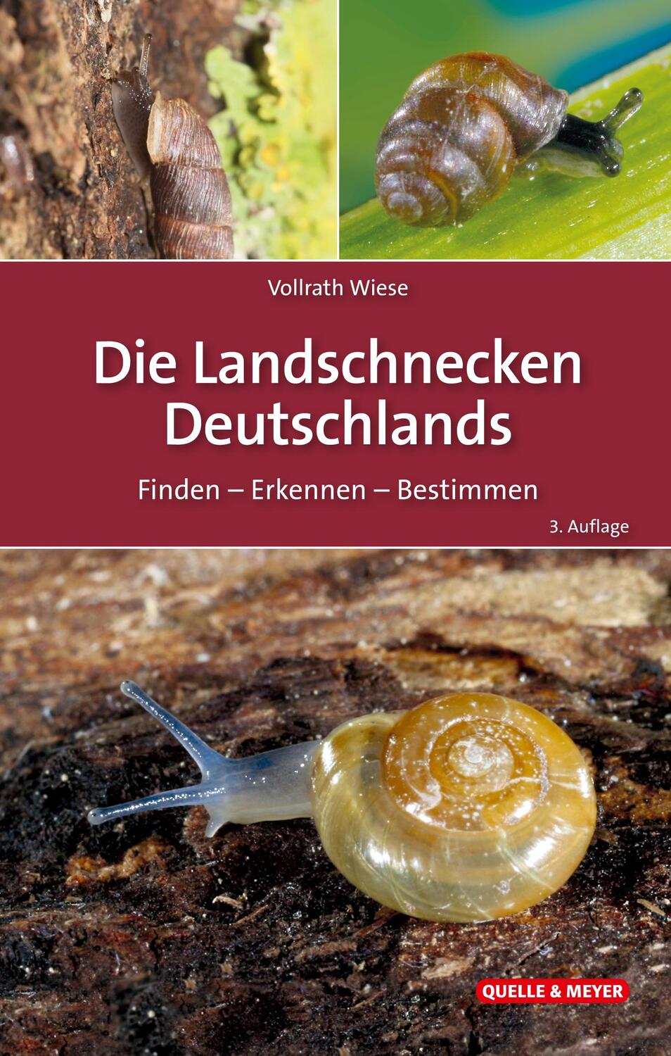 Cover: 9783494019925 | Die Landschnecken Deutschlands | Finden - Erkennen - Bestimmen | Wiese