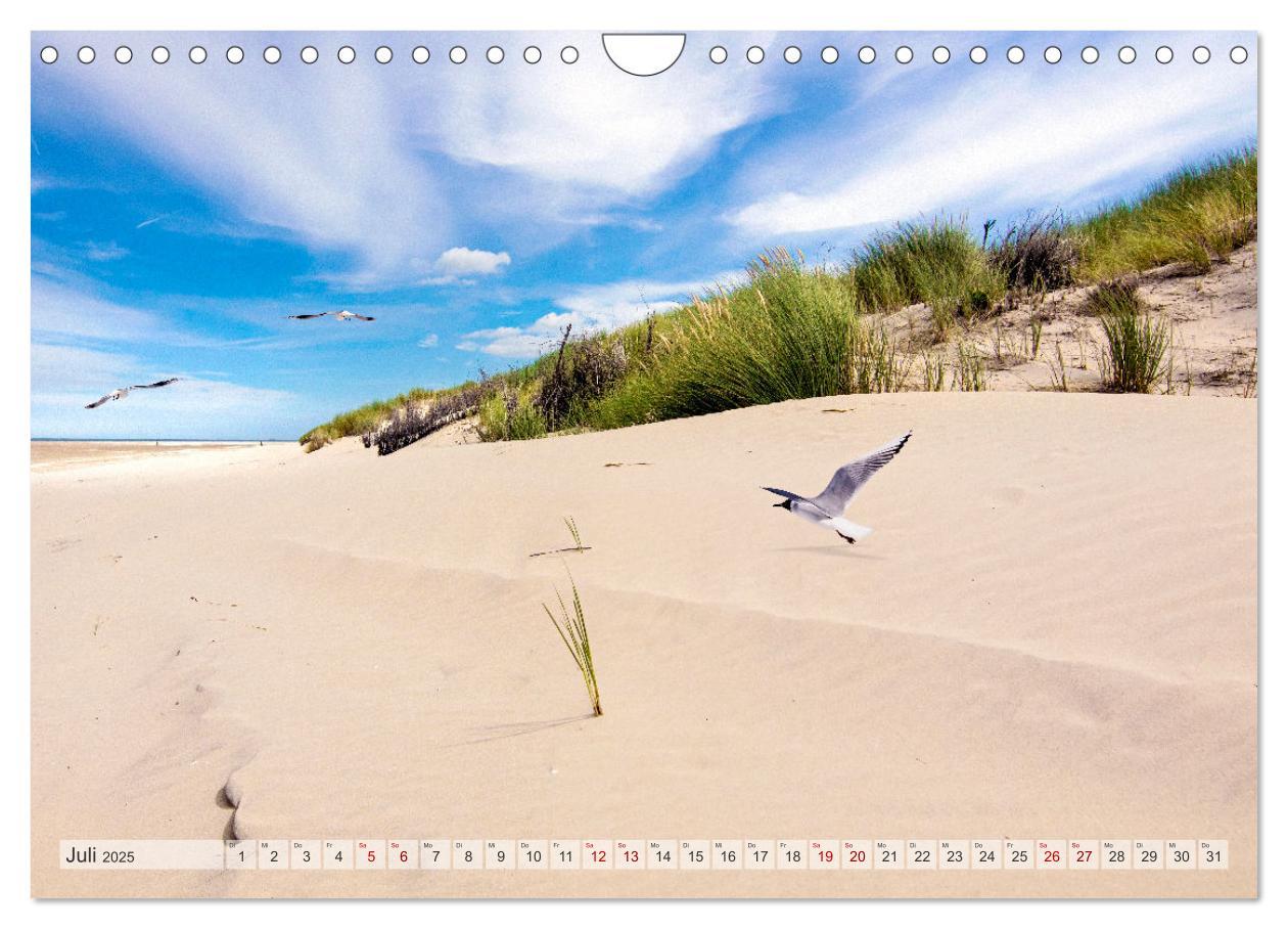 Bild: 9783435081134 | BORKUM-LIEBE (Wandkalender 2025 DIN A4 quer), CALVENDO Monatskalender