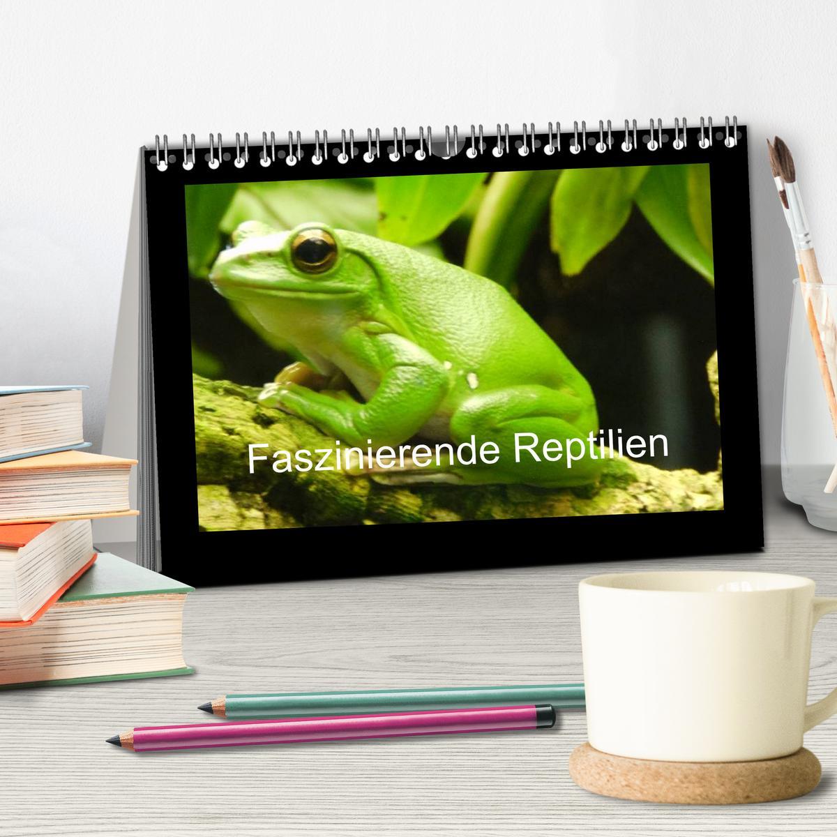 Bild: 9783435806256 | Faszinierende Reptilien (Tischkalender 2025 DIN A5 quer), CALVENDO...