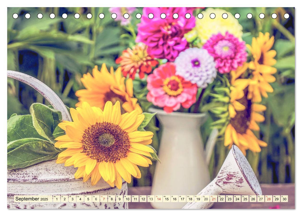 Bild: 9783435191826 | Sonnenblumen. Das Strahlen des Sommers (Tischkalender 2025 DIN A5...