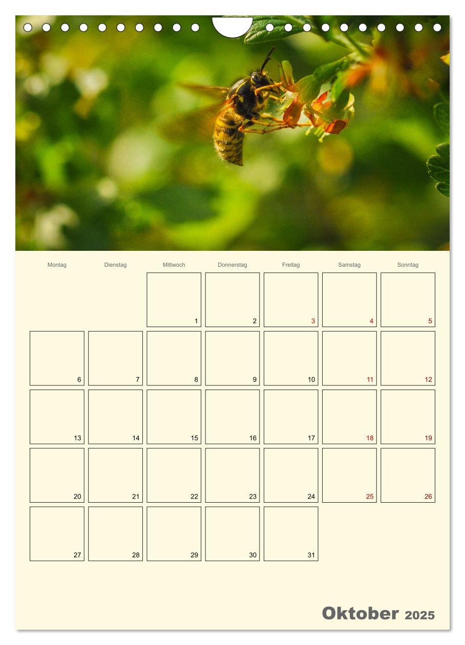 Bild: 9783435958023 | Bienen im Naturgarten (Wandkalender 2025 DIN A4 hoch), CALVENDO...