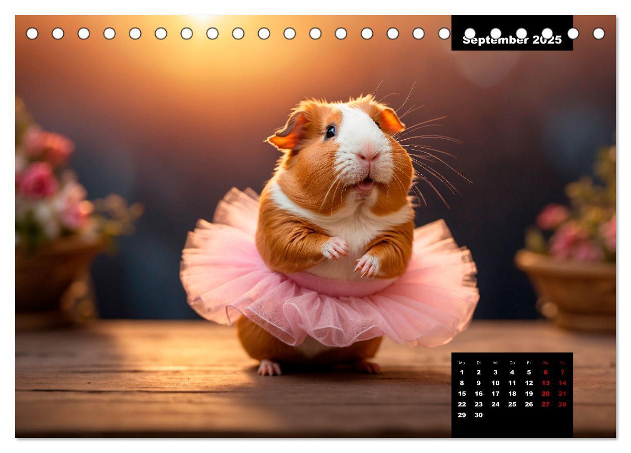 Bild: 9783435013135 | Meerschweinchen mal anders! (Tischkalender 2025 DIN A5 quer),...