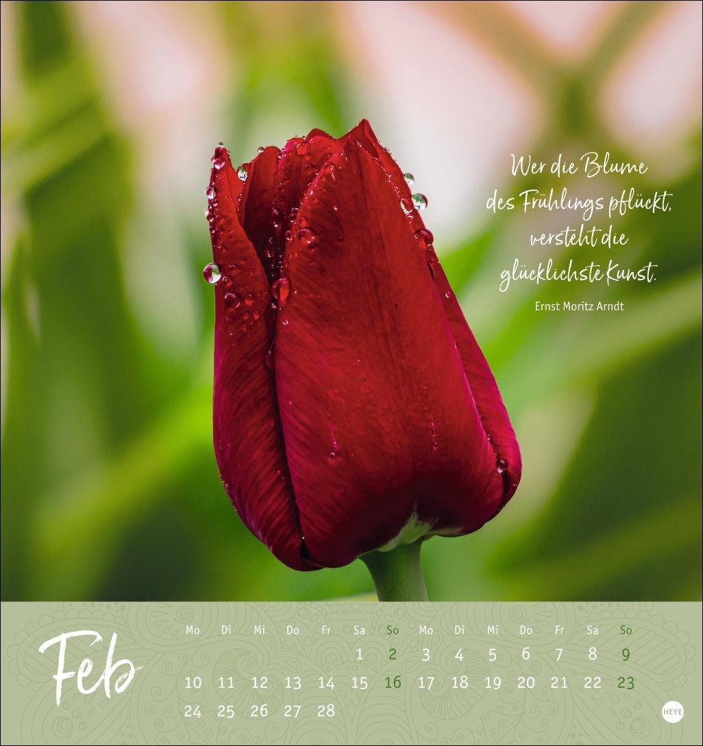 Bild: 9783756406944 | Stille Momente Postkartenkalender 2025 | Heye | Kalender | 13 S.