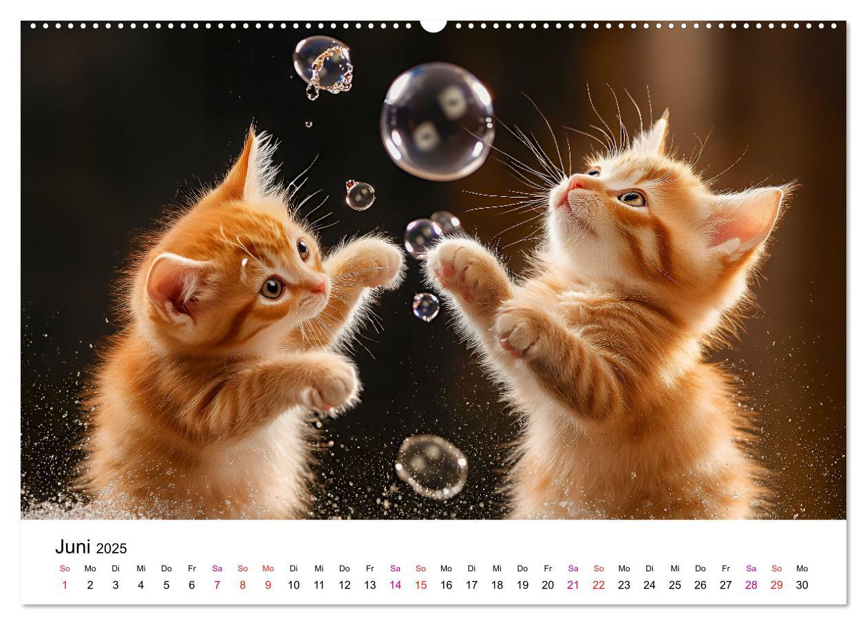 Bild: 9783457218310 | Katzenzauber - Samtpfoten im Jahreslauf (Wandkalender 2025 DIN A2...