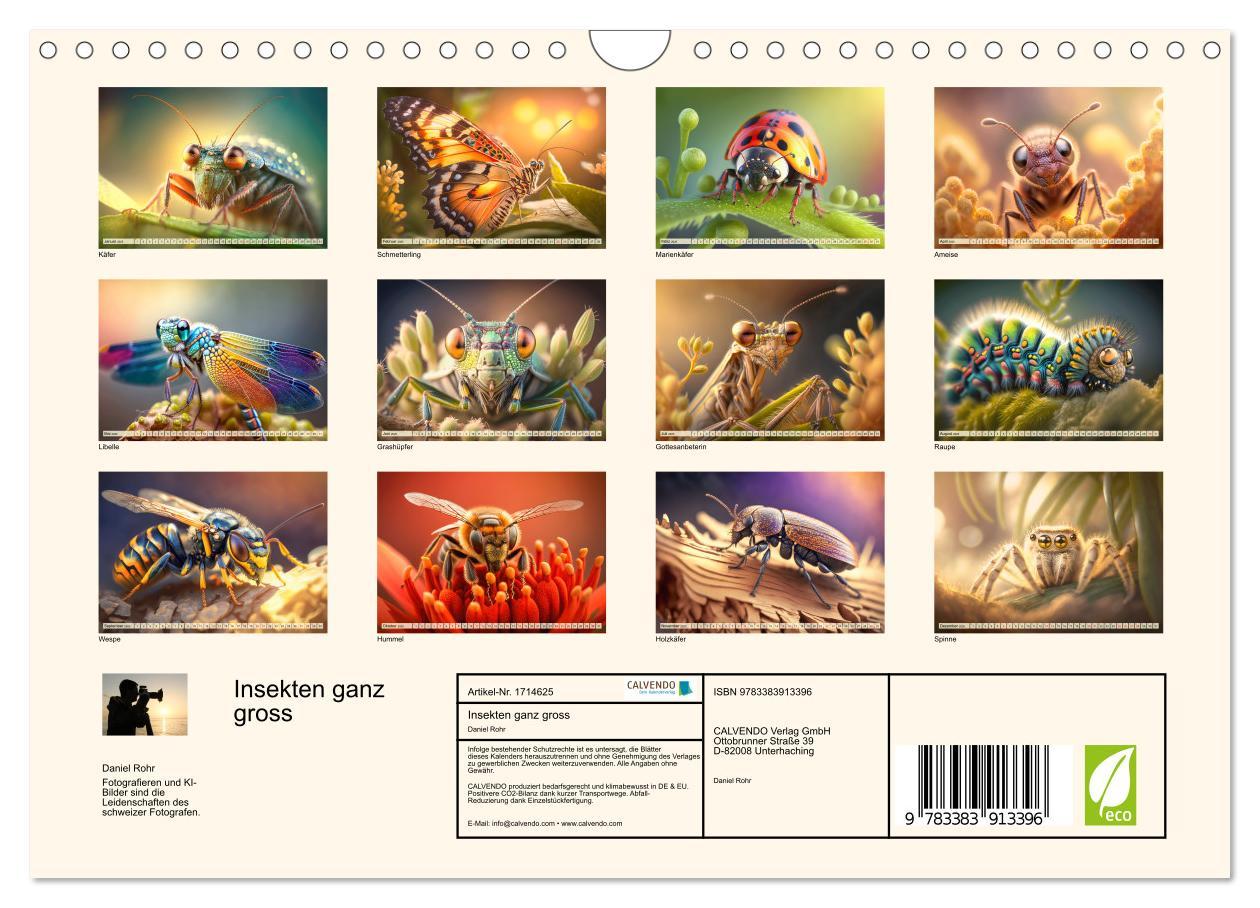 Bild: 9783383913396 | Insekten ganz gross (Wandkalender 2025 DIN A4 quer), CALVENDO...