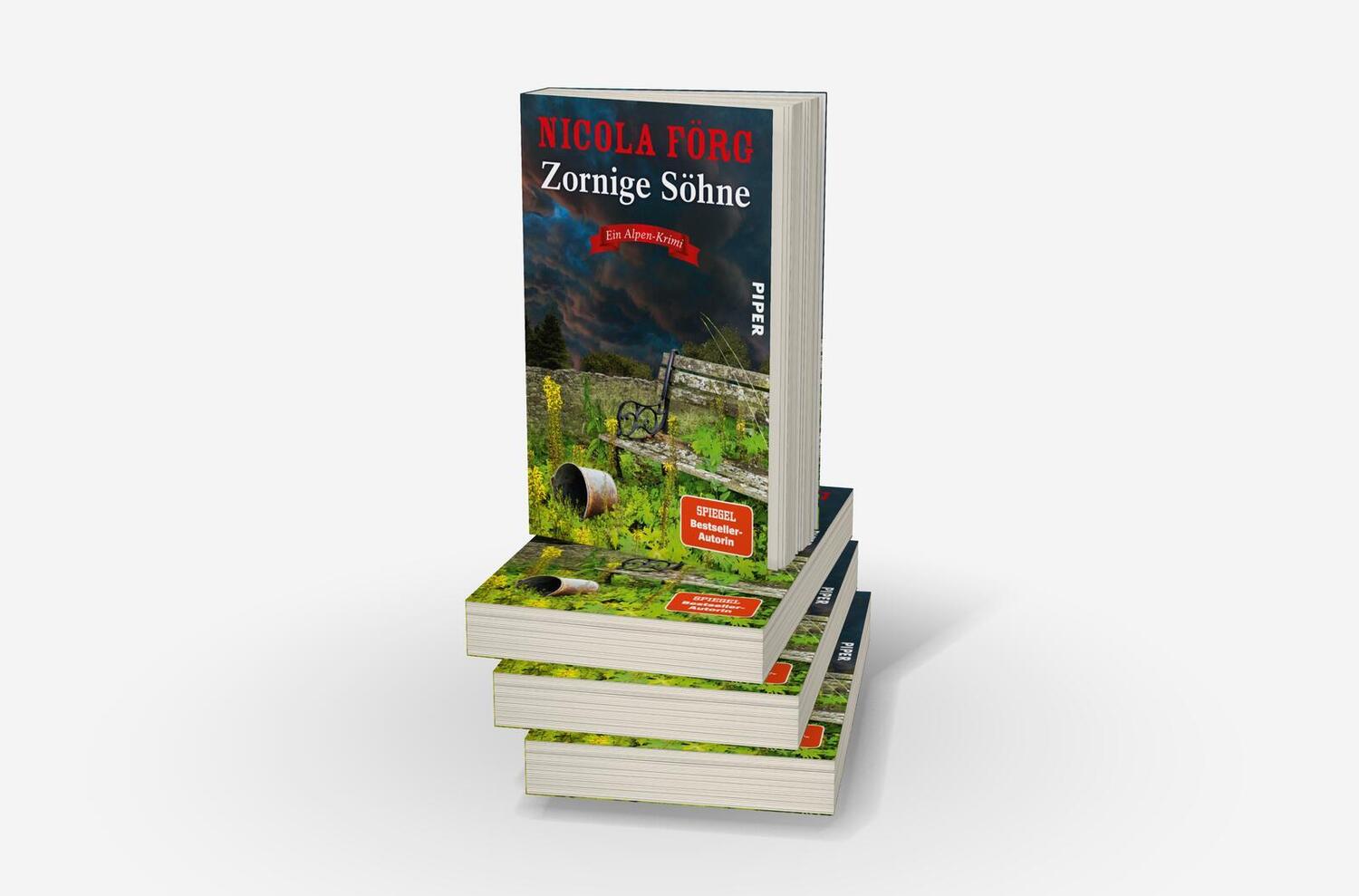 Bild: 9783492064156 | Zornige Söhne | Nicola Förg | Taschenbuch | Alpen-Krimis | 336 S.