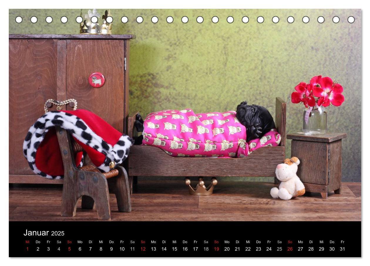 Bild: 9783435768424 | Der MOPS-Kalender (Tischkalender 2025 DIN A5 quer), CALVENDO...