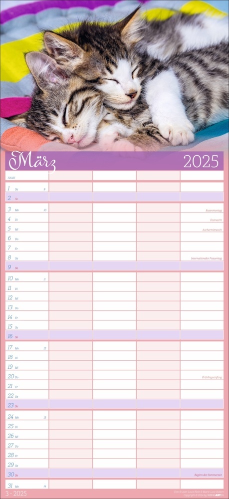 Bild: 9783839901038 | Cool Cats Familienplaner 2025 | Marie-Luce Hubert (u. a.) | Kalender