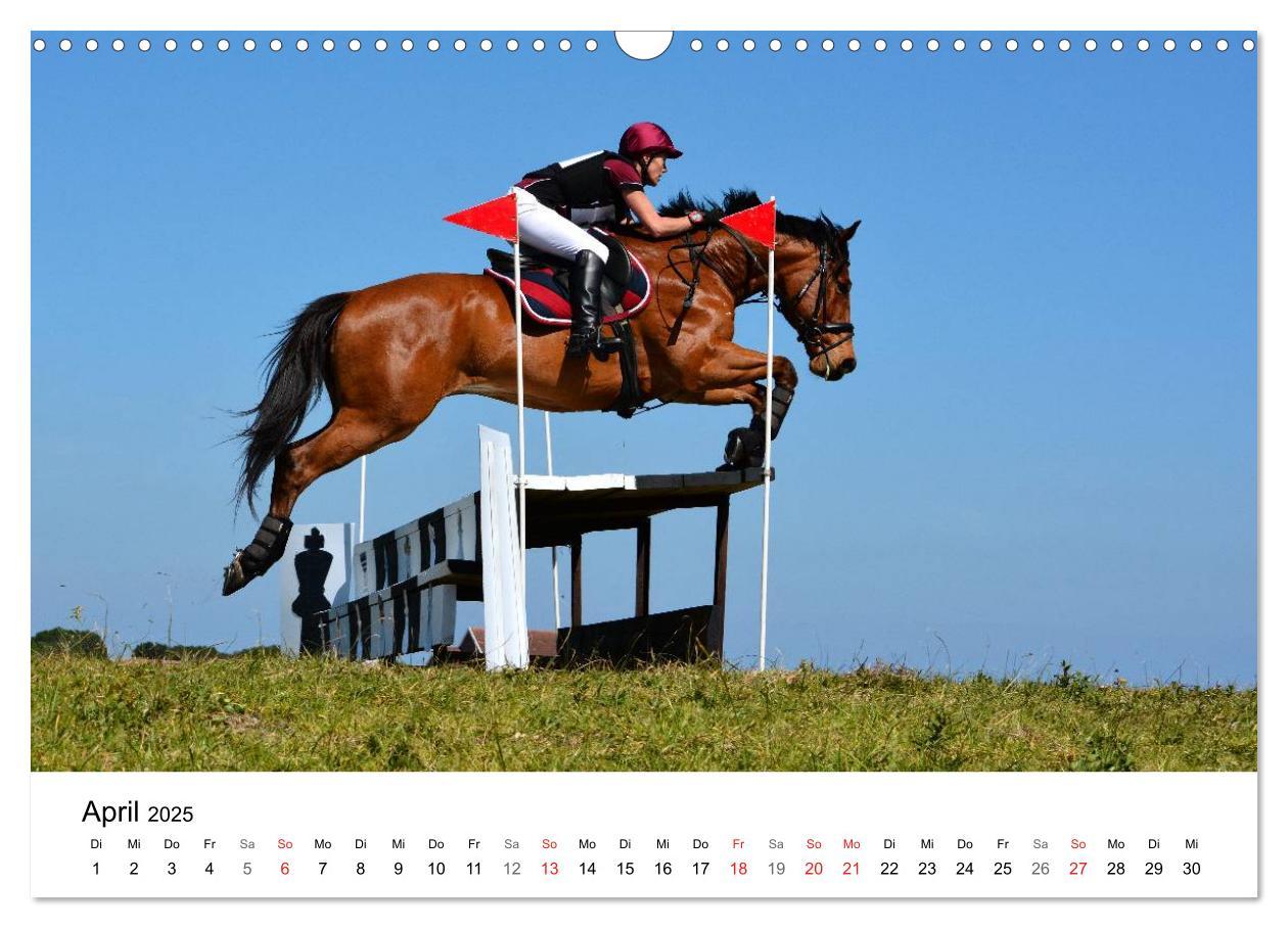 Bild: 9783435618057 | Vielseitigkeitsreiten (Wandkalender 2025 DIN A3 quer), CALVENDO...