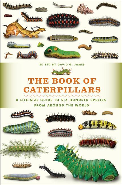 Cover: 9780226287362 | The Book of Caterpillars | David G James | Buch | Englisch | 2017