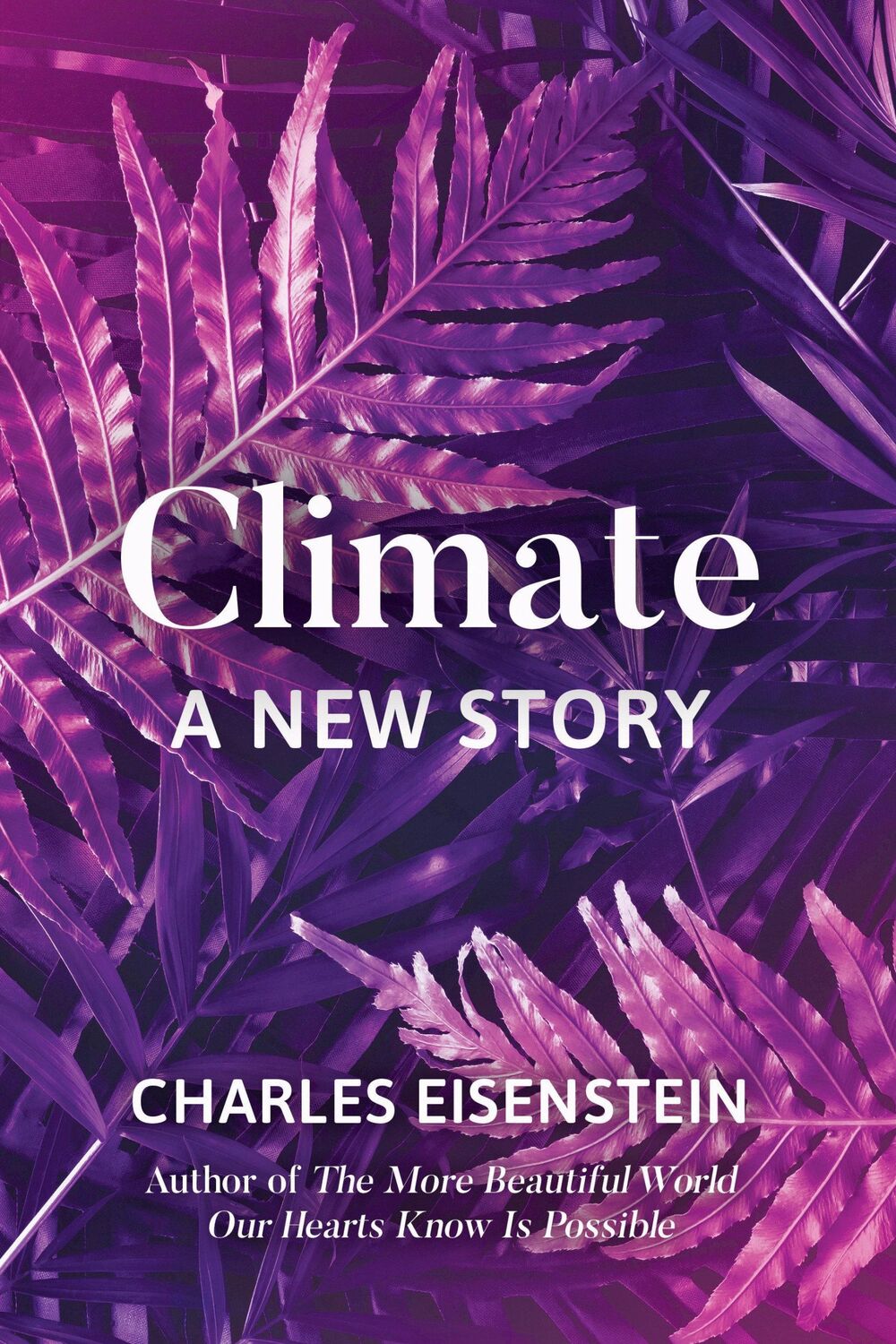 Cover: 9781623172480 | Climate: A New Story | Charles Eisenstein | Taschenbuch | Englisch