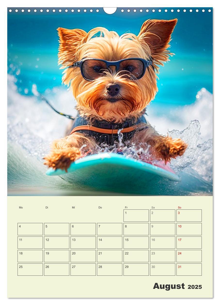 Bild: 9783435873715 | Yorkshire Terrier. Fröhliche Energiebündel in Aktion (Wandkalender...