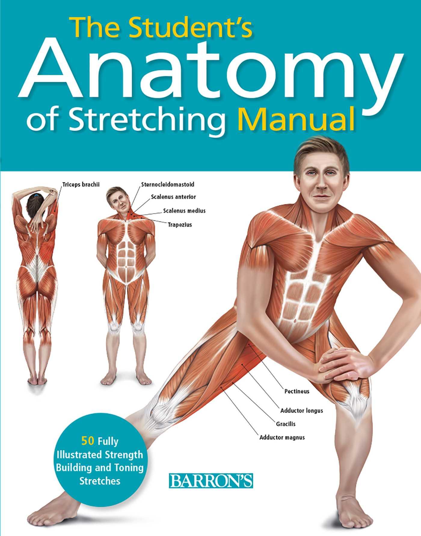 Cover: 9781438003917 | Student's Anatomy of Stretching Manual | Series (u. a.) | Taschenbuch