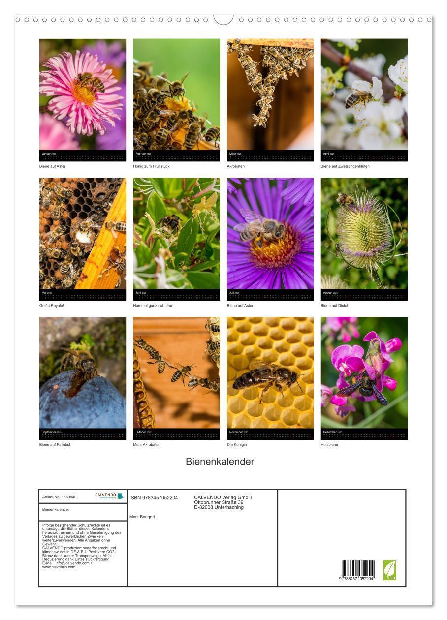 Bild: 9783457052204 | Bienenkalender (Wandkalender 2025 DIN A2 hoch), CALVENDO...