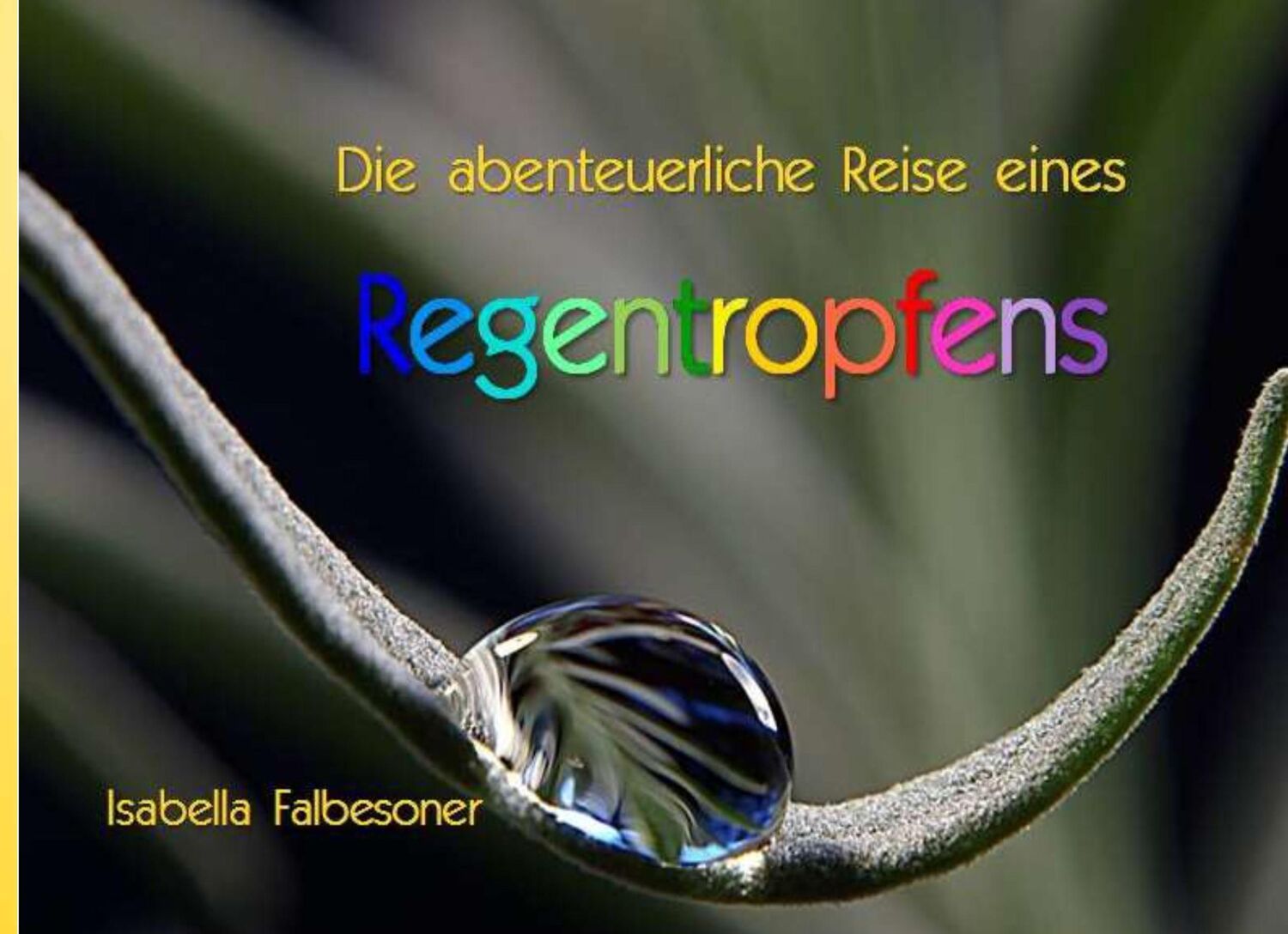 Cover: 9783839110720 | Die abenteuerliche Reise eines Regentropfens | Isabella Falbesoner