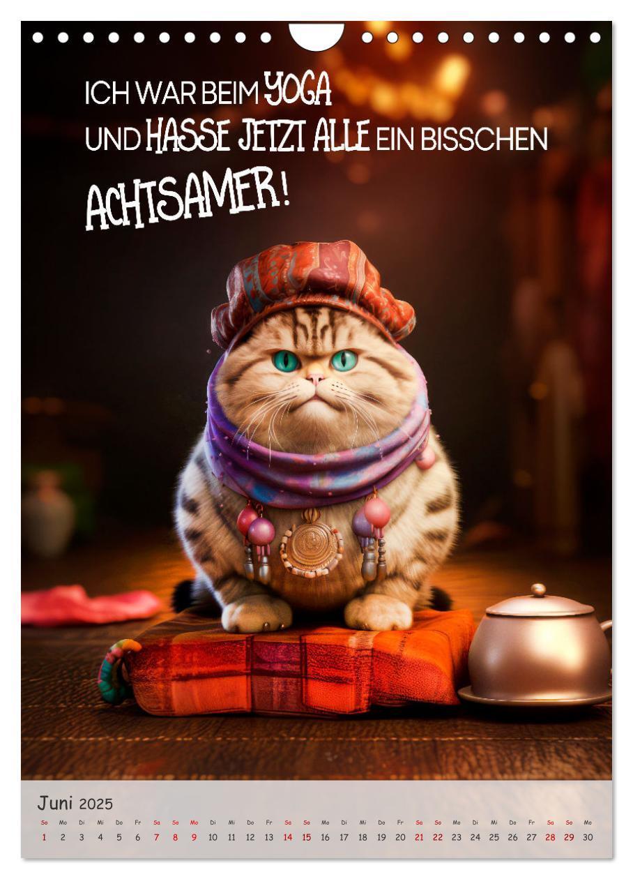 Bild: 9783383771392 | COOLE KATZEN Sprücheklopfer (Wandkalender 2025 DIN A4 hoch),...