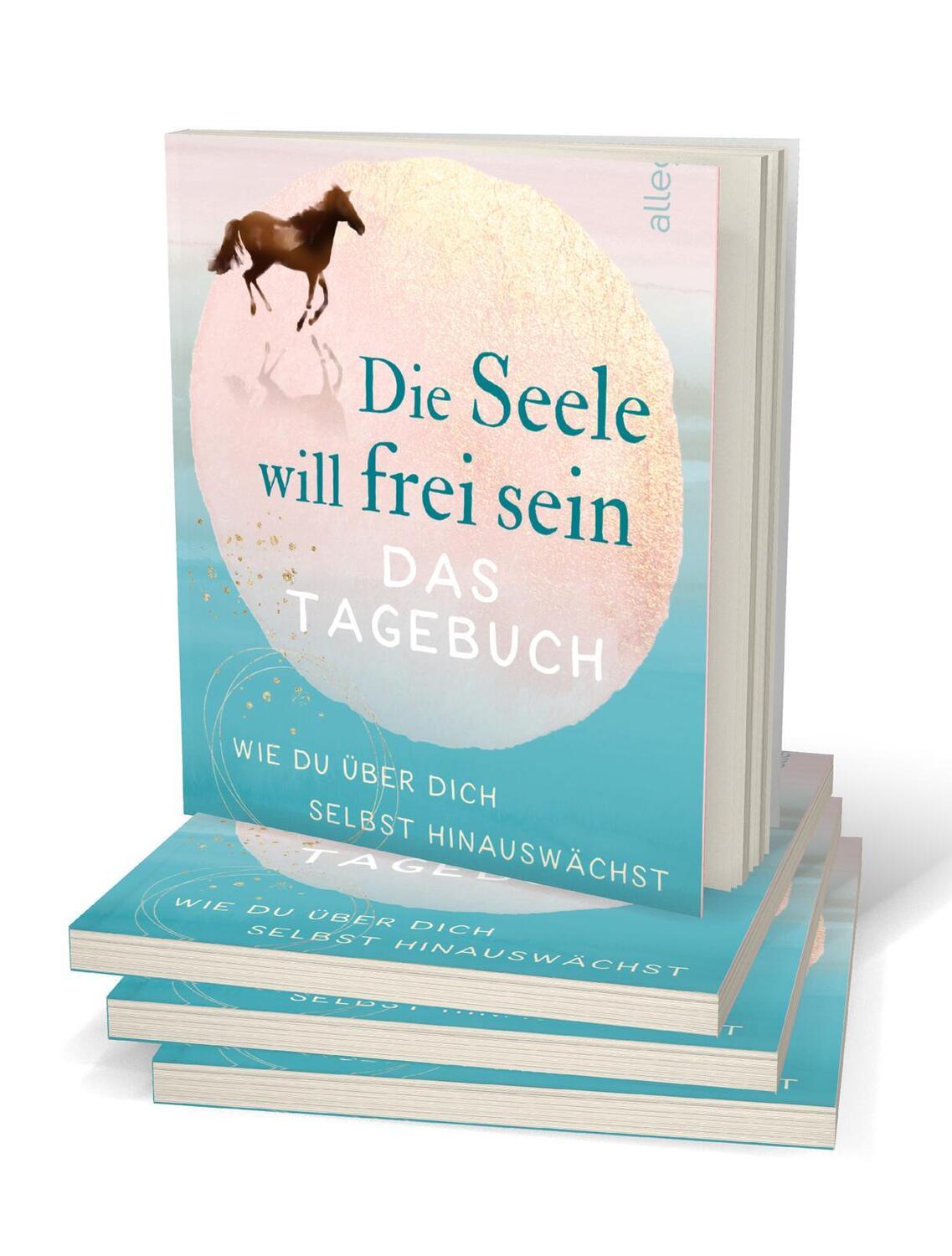 Bild: 9783793424345 | Die Seele will frei sein - Das Tagebuch | Michael A. Singer | Buch