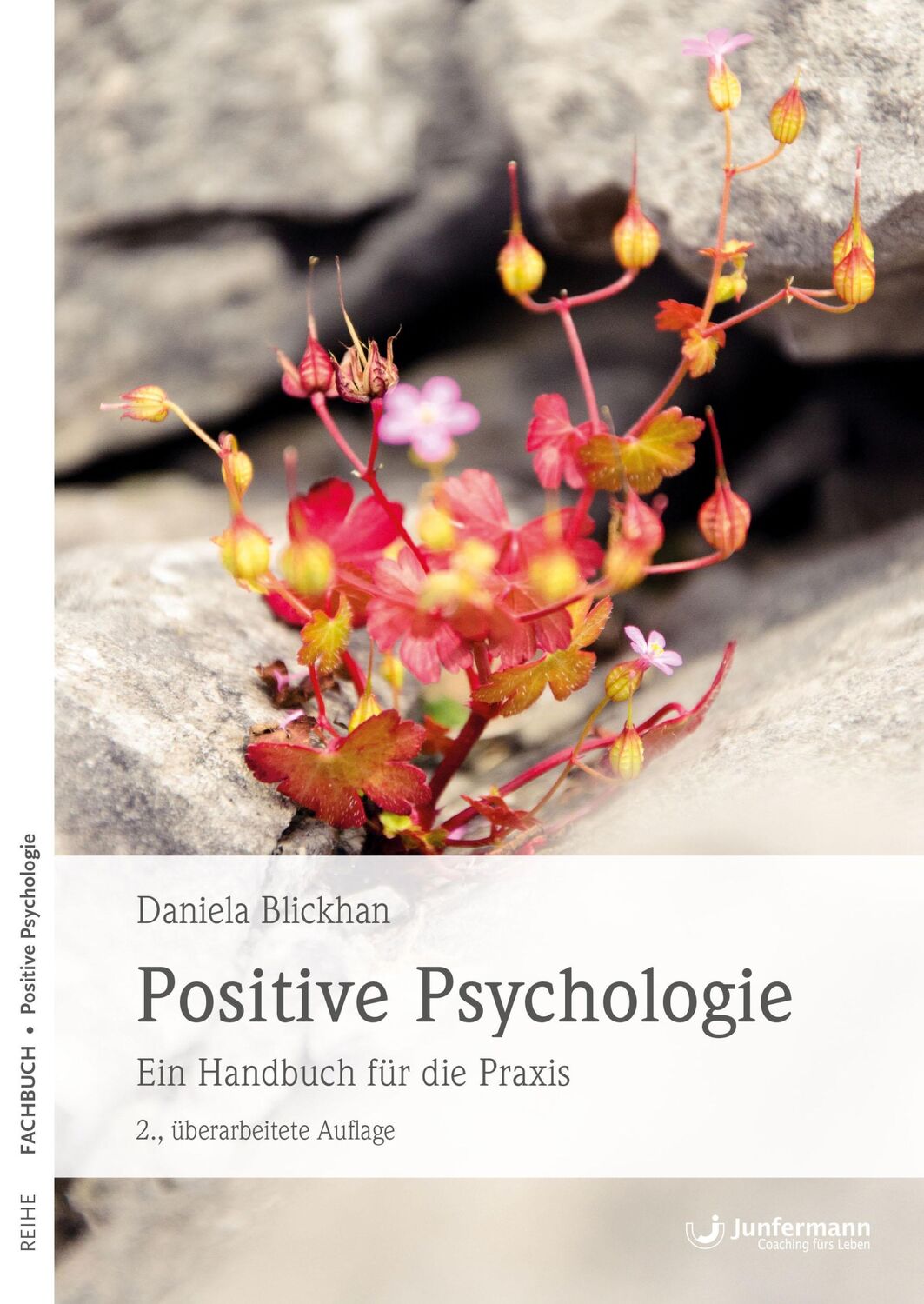 Cover: 9783955718329 | Positive Psychologie | Ein Handbuch für die Praxis | Daniela Blickhan