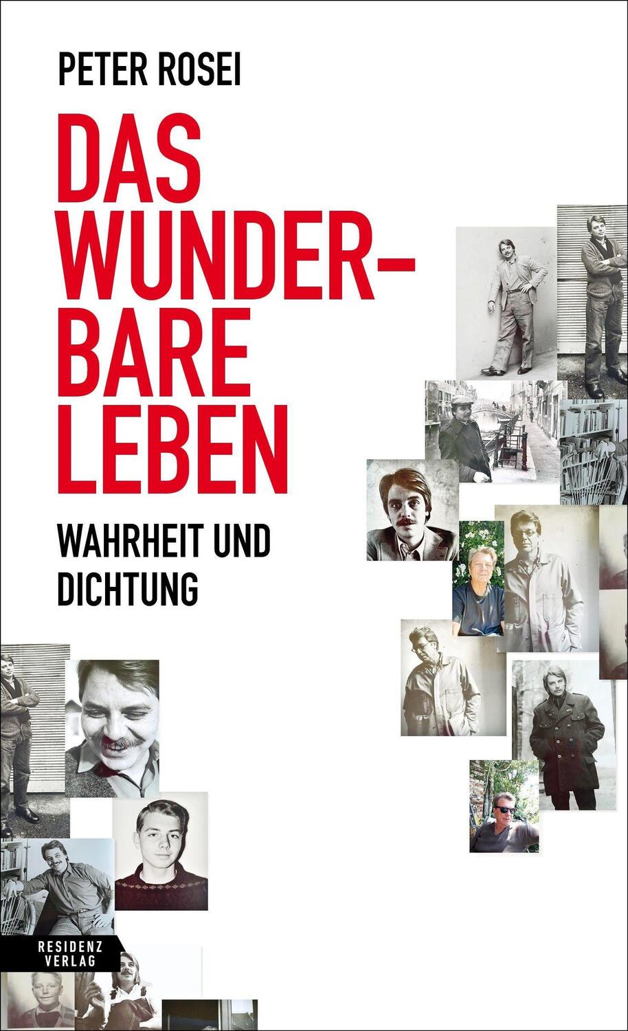 Cover: 9783701717668 | Das wunderbare Leben | Wahrheit und Dichtung | Peter Rosei | Buch