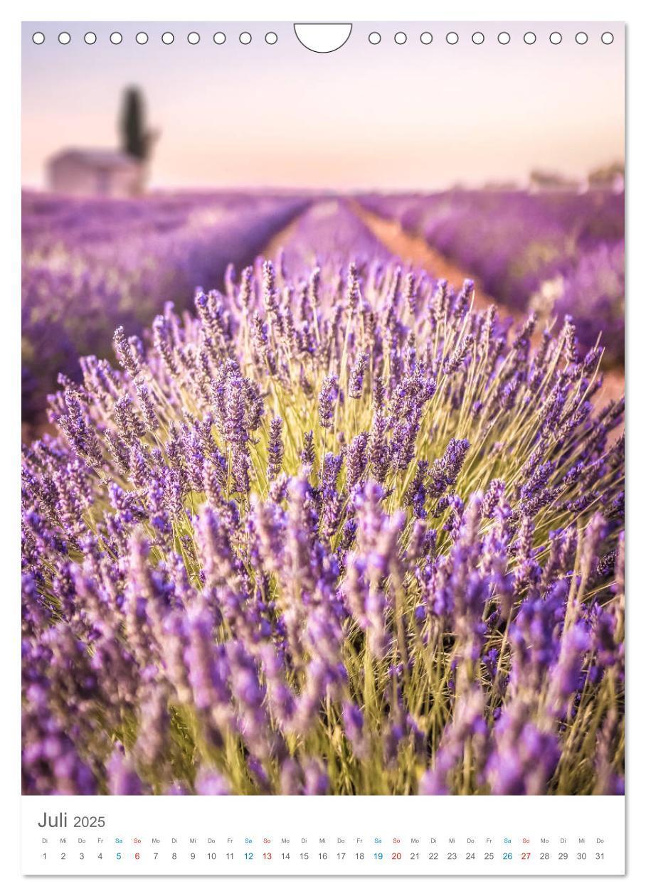 Bild: 9783435987443 | Provence im Licht (Wandkalender 2025 DIN A4 hoch), CALVENDO...