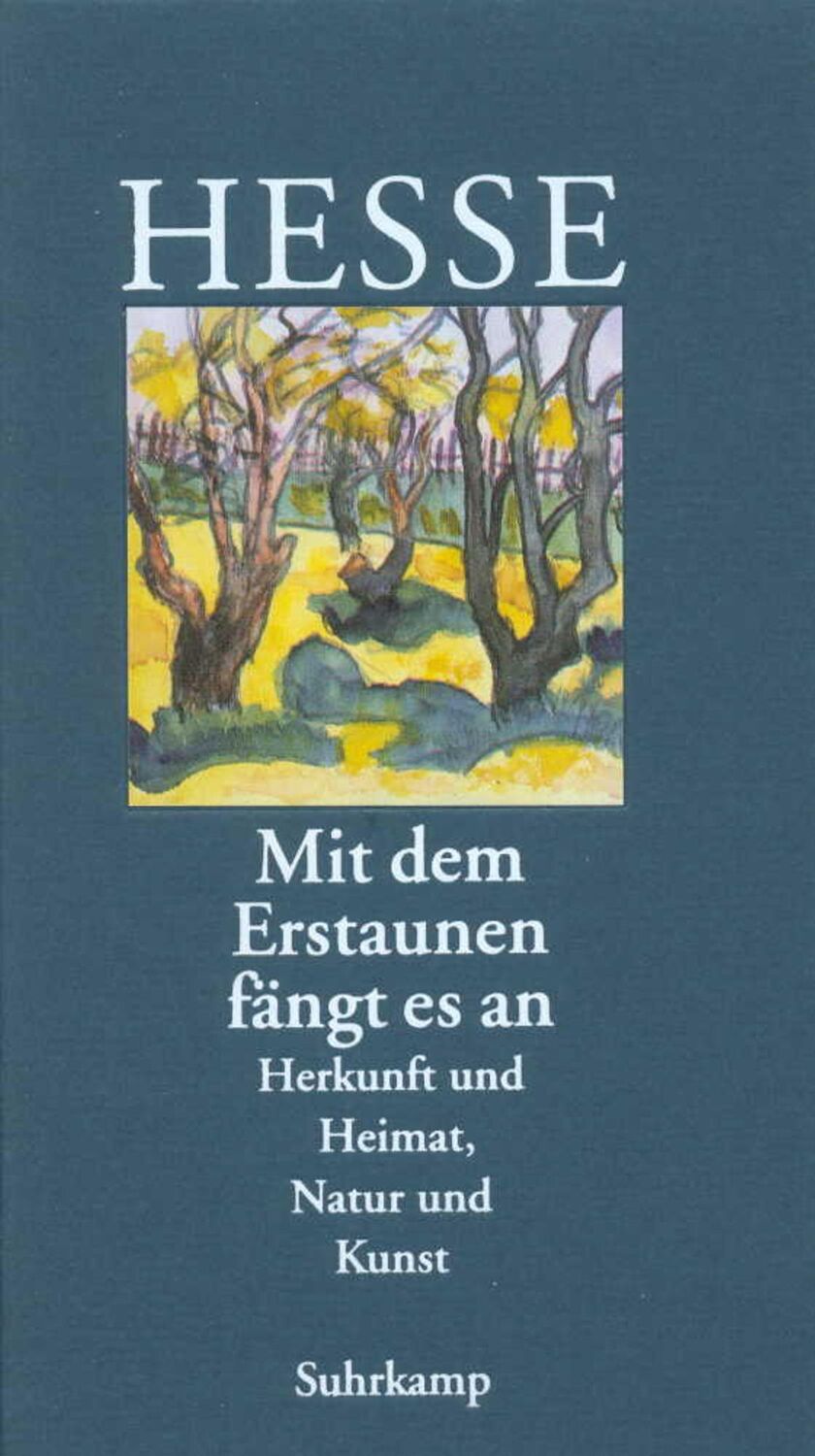 Cover: 9783518035887 | Mit dem Erstaunen fängt es an | Herkunft und Heimat. Natur und Kunst