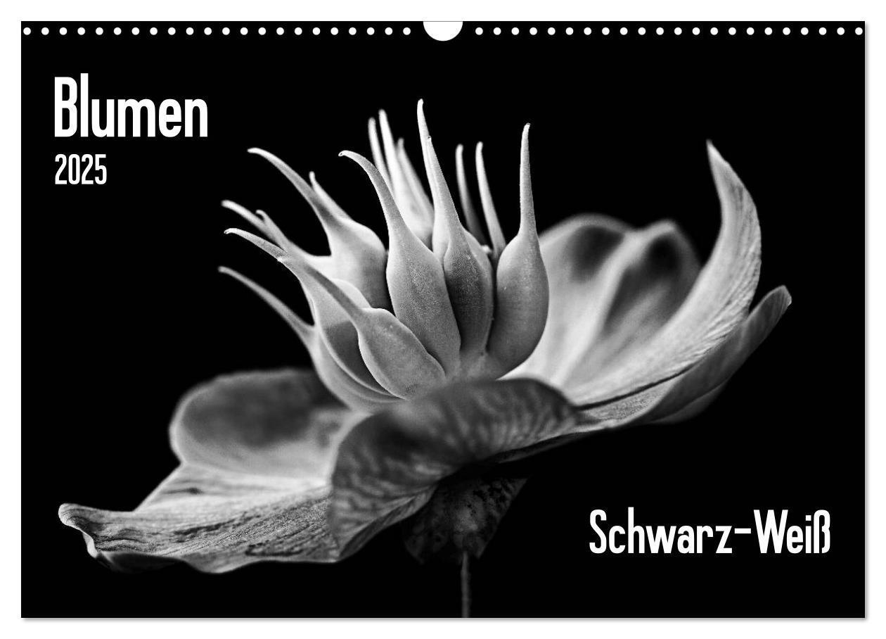 Cover: 9783435642892 | Blumen 2025, Schwarz-Weiß (Wandkalender 2025 DIN A3 quer), CALVENDO...