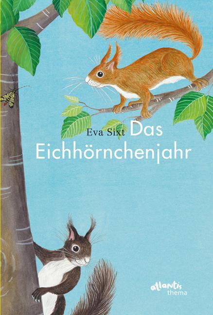 Cover: 9783715207254 | Das Eichhörnchenjahr | Eva Sixt | Buch | Atlantis Thema Bücher | 32 S.