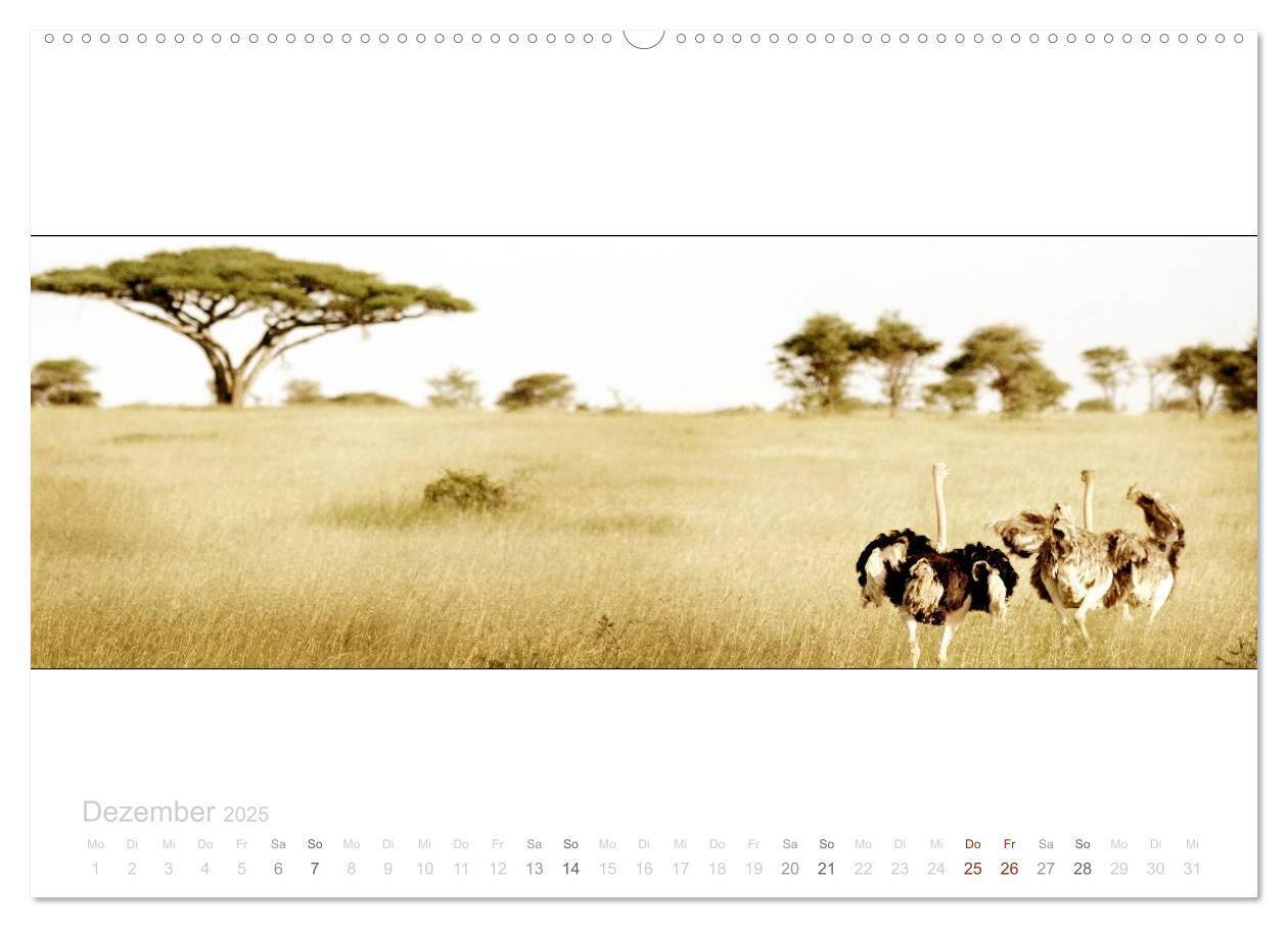 Bild: 9783435685547 | Serengeti Panorama (hochwertiger Premium Wandkalender 2025 DIN A2...