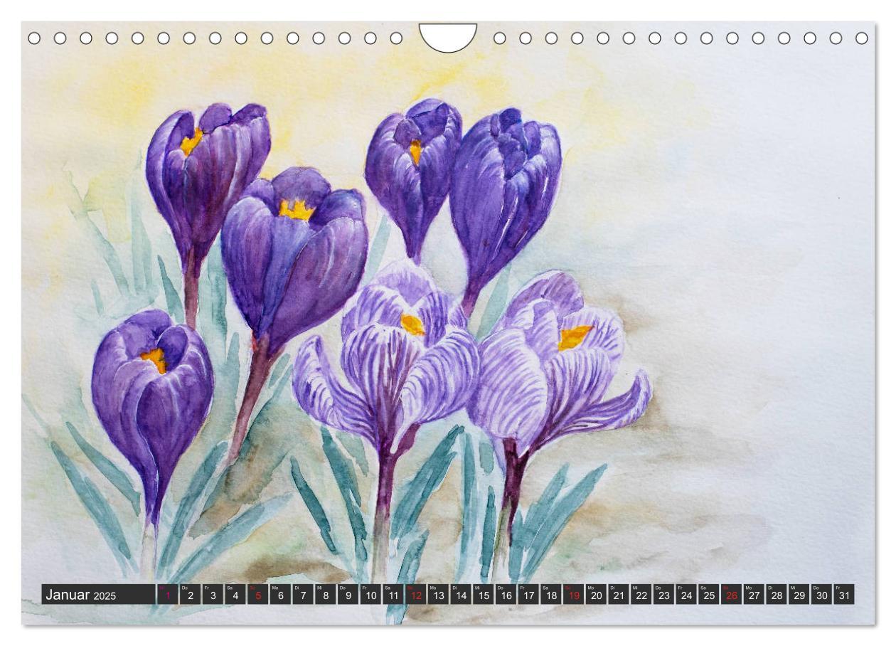 Bild: 9783435312764 | Blumenbilder in Aquarell (Wandkalender 2025 DIN A4 quer), CALVENDO...