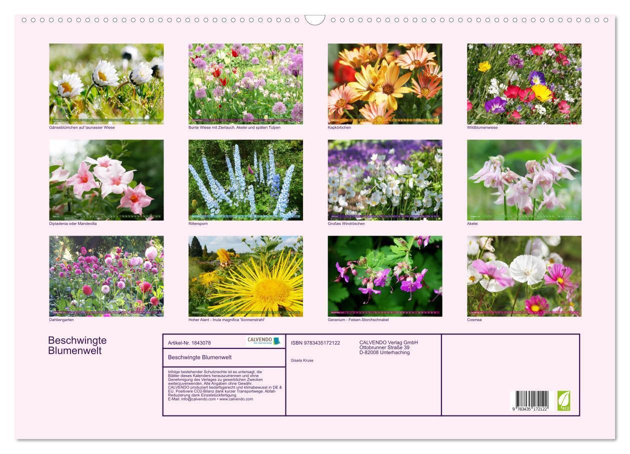 Bild: 9783435172122 | Beschwingte Blumenwelt (Wandkalender 2025 DIN A2 quer), CALVENDO...