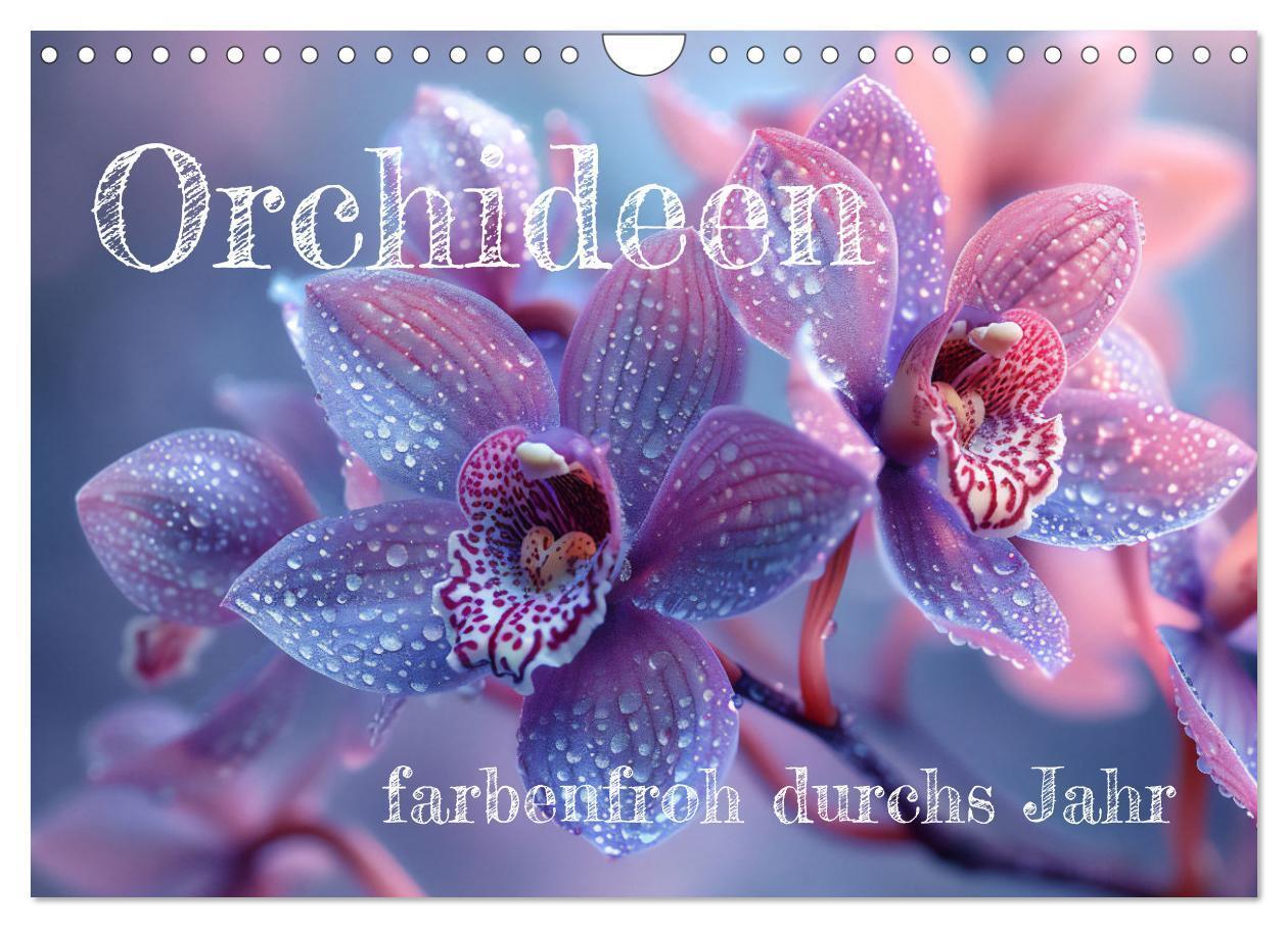 Cover: 9783457165089 | Orchideen - farbenfroh durchs Jahr (Wandkalender 2025 DIN A4 quer),...