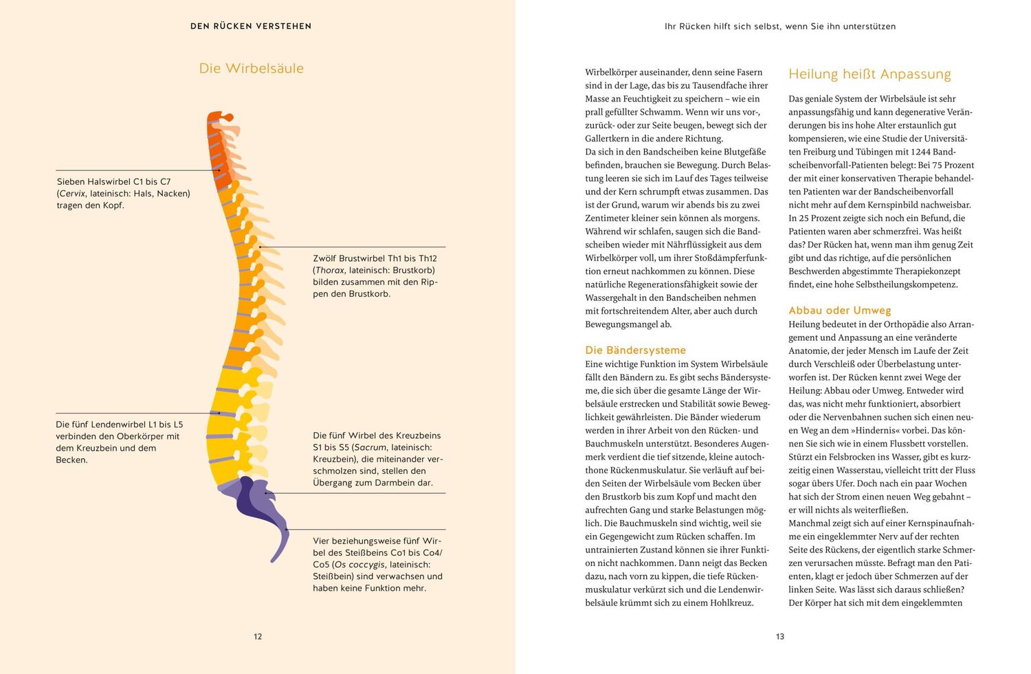 Bild: 9783833895395 | Den Rücken selbst heilen | Martin Marianowicz | Taschenbuch | 224 S.