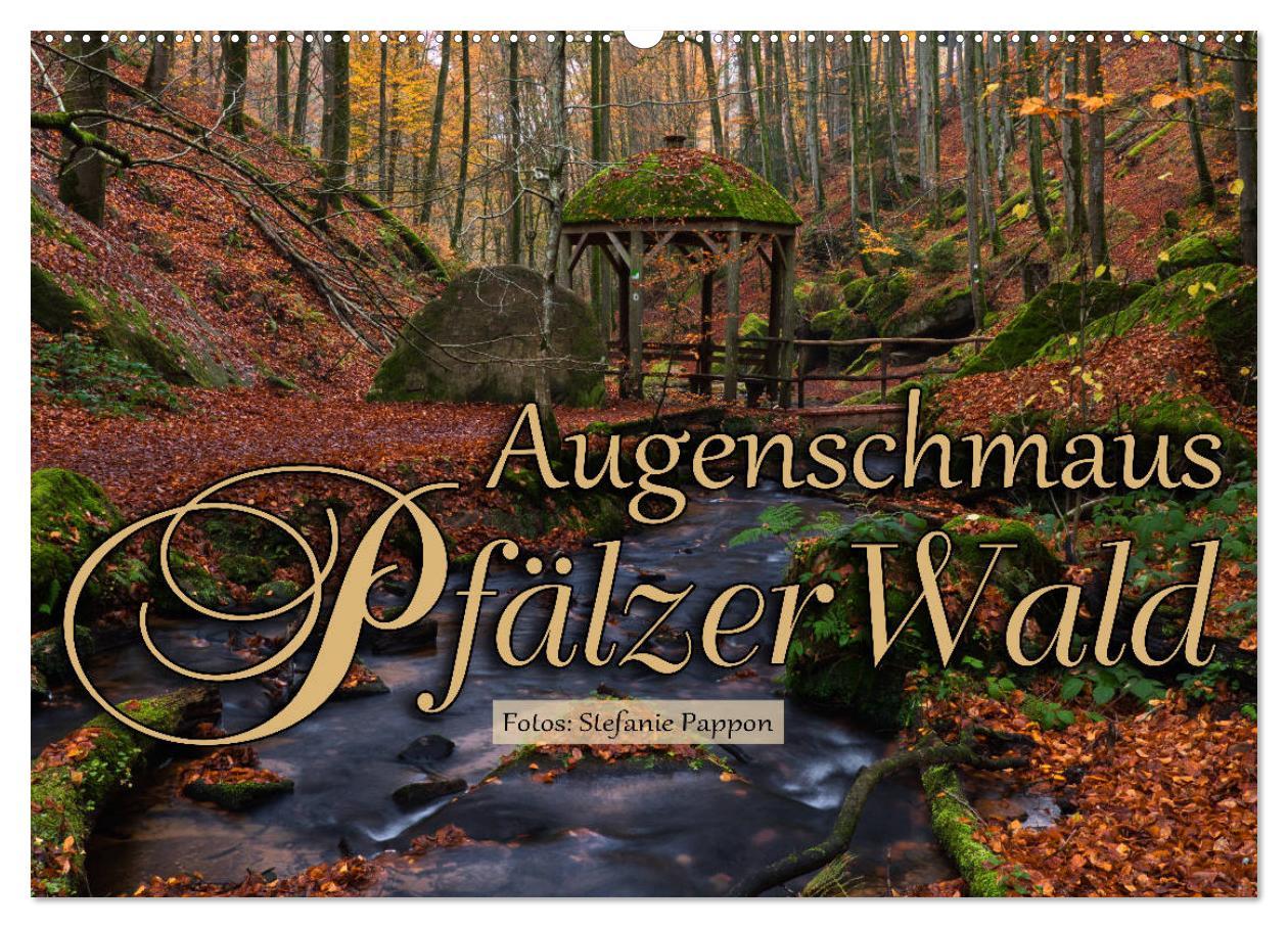 Cover: 9783435148899 | Augenschmaus Pfälzer Wald (Wandkalender 2025 DIN A2 quer), CALVENDO...