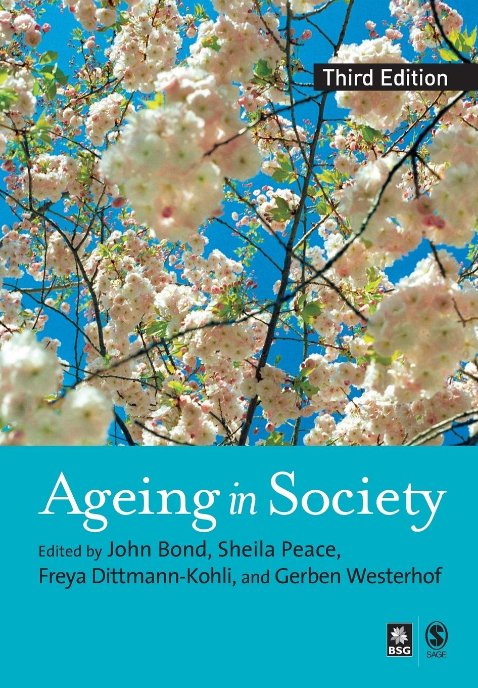 Cover: 9781412900201 | Ageing in Society | Sheila Peace | Taschenbuch | Paperback | Englisch