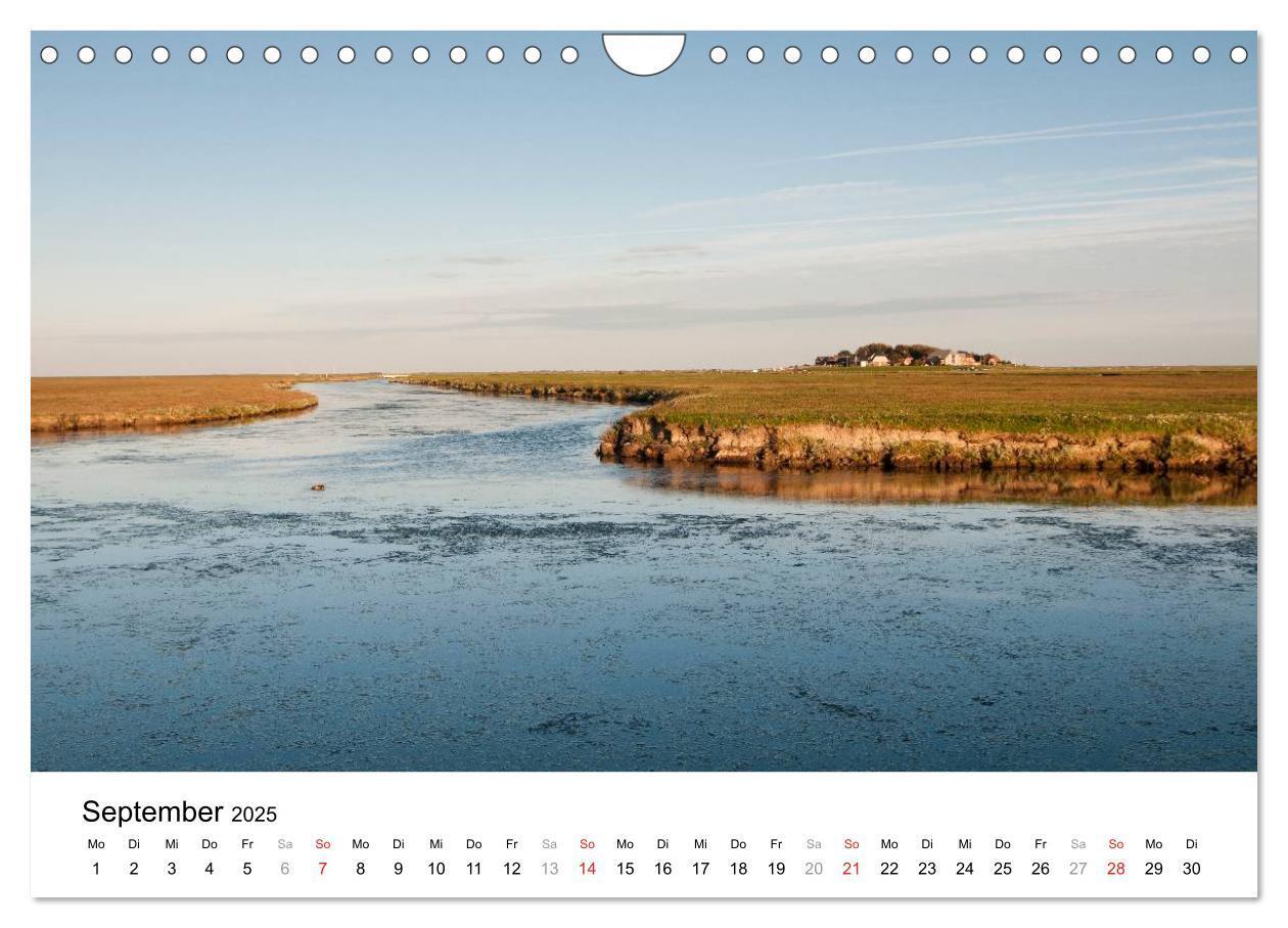 Bild: 9783435570386 | Hallig Hooge - zwischen Himmel und Erde (Wandkalender 2025 DIN A4...