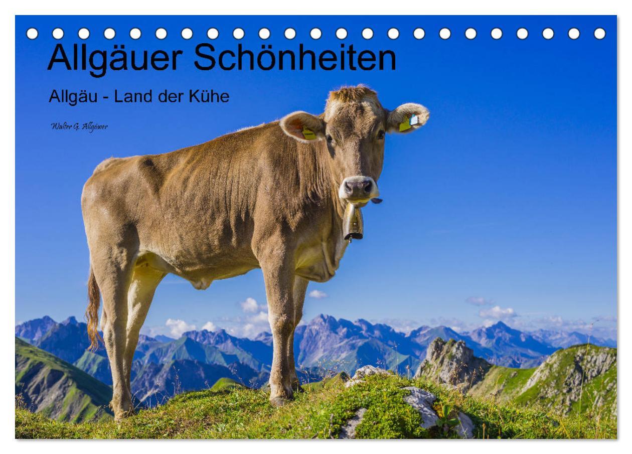 Cover: 9783435346332 | Allgäuer Schönheiten Allgäu - Land der Kühe (Tischkalender 2025 DIN...