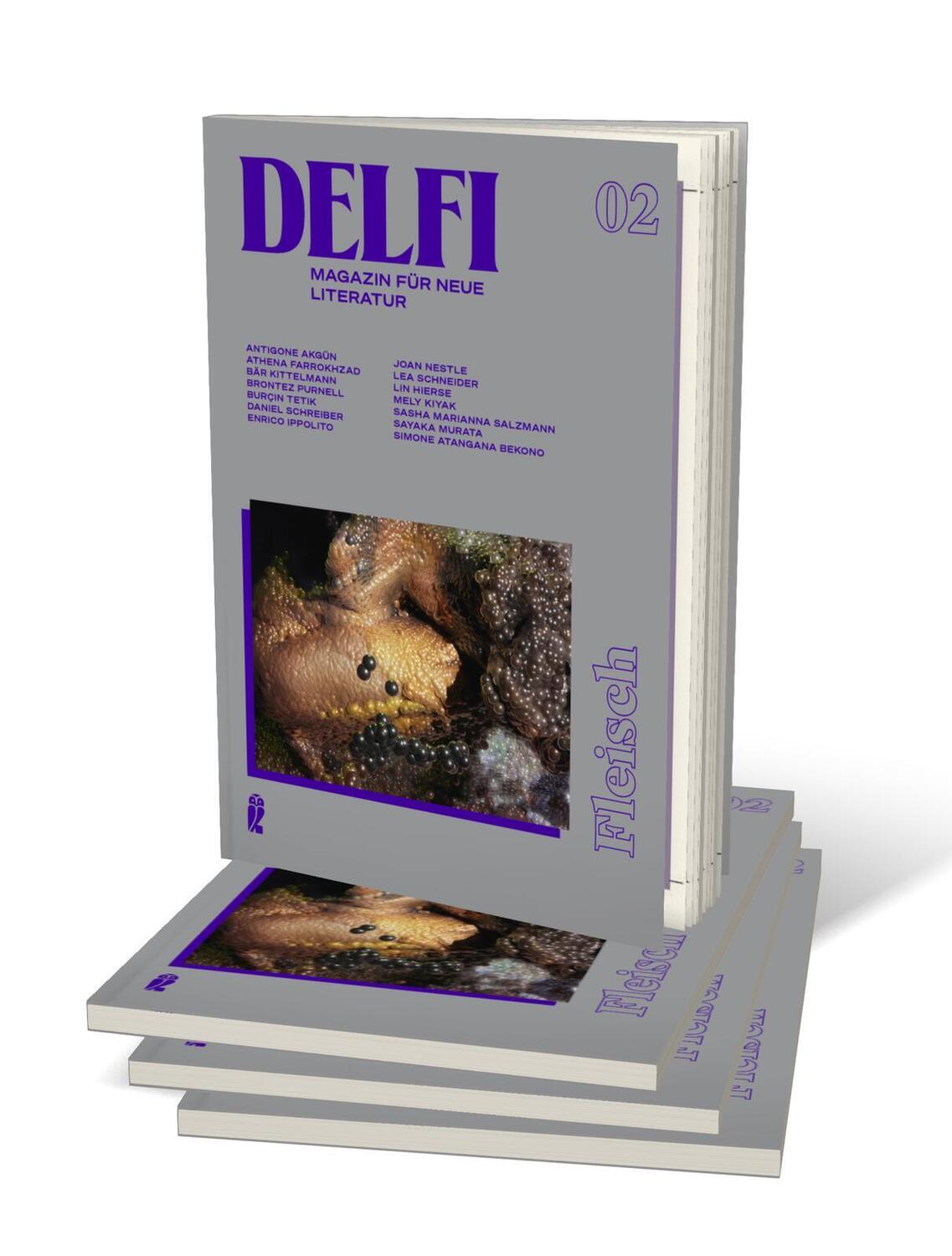 Bild: 9783546100922 | Delfi Fleisch | Daniel Schreiber (u. a.) | Taschenbuch | Delfi | 2024