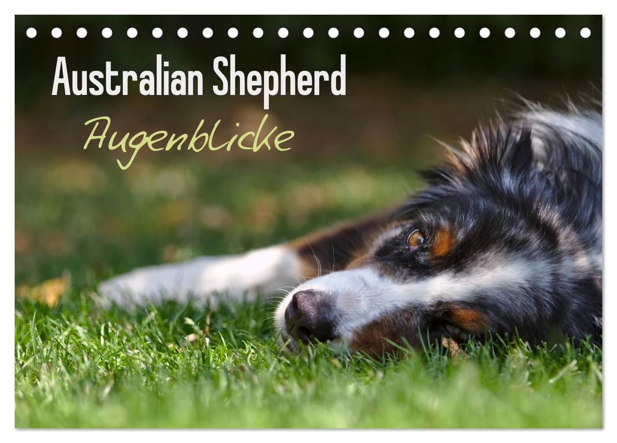 Cover: 9783435581344 | Australian Shepherd - Augenblicke (Tischkalender 2025 DIN A5 quer),...