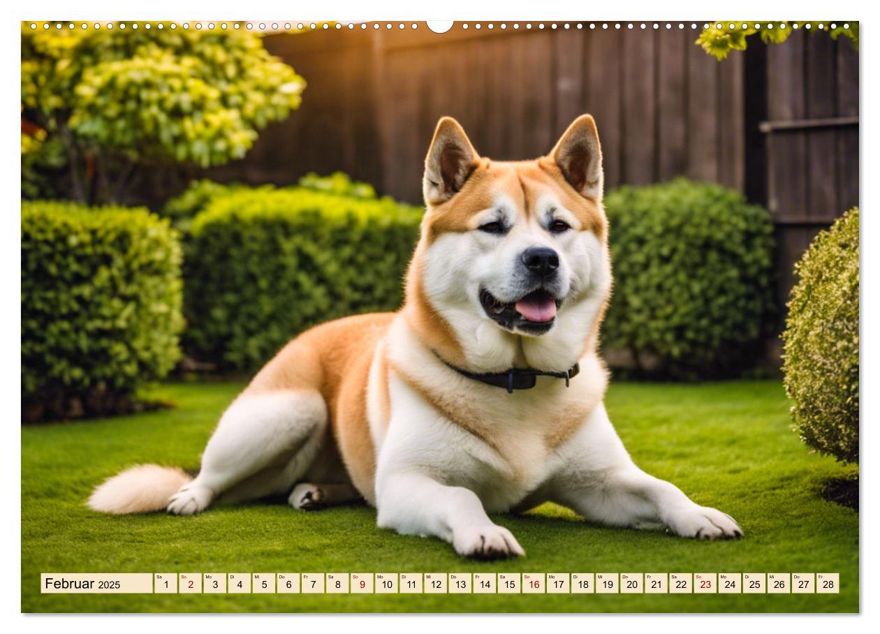 Bild: 9783457071700 | Akita Inu - Inbegriff der Treue (Wandkalender 2025 DIN A2 quer),...