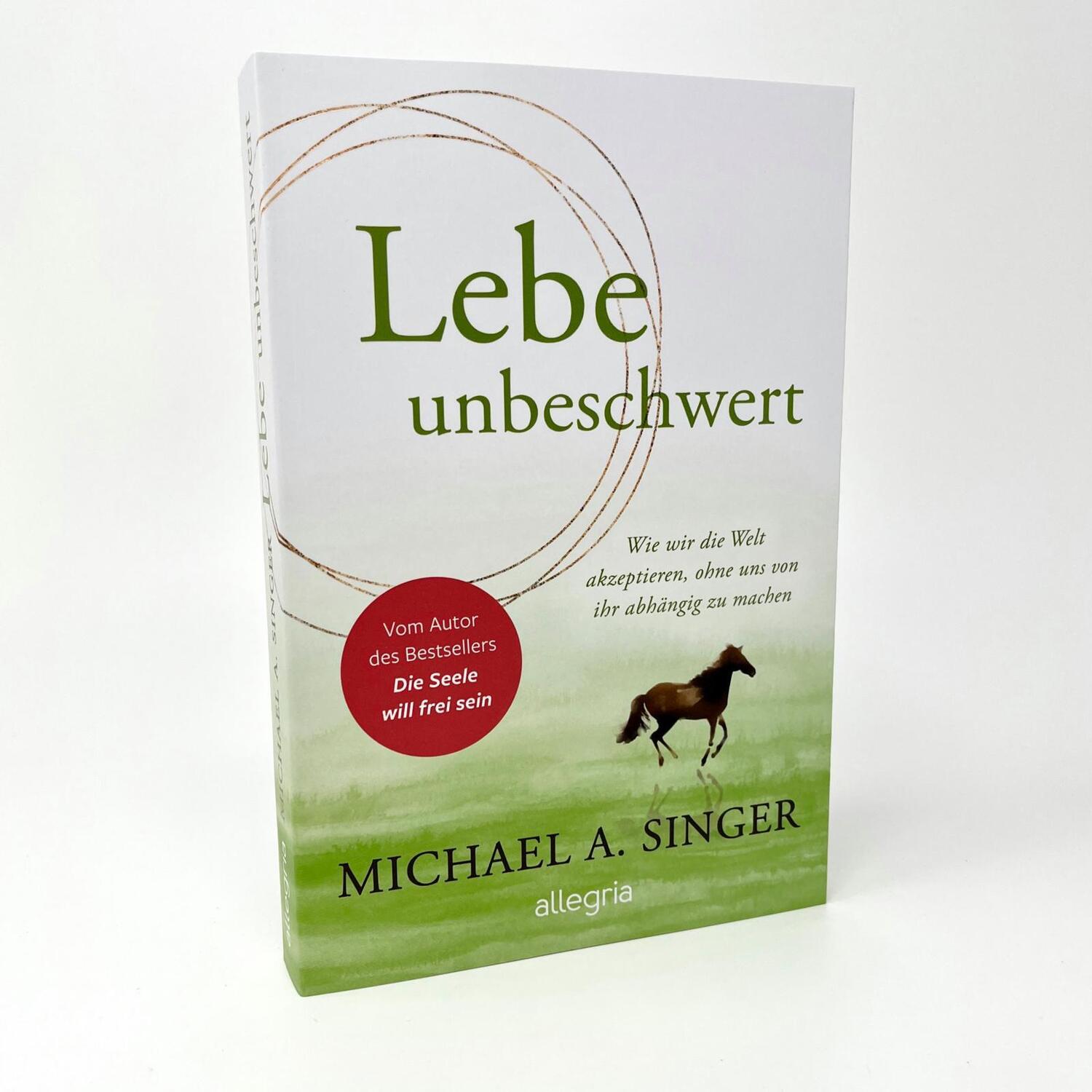 Bild: 9783793424543 | Lebe unbeschwert | Michael A. Singer | Taschenbuch | 272 S. | Deutsch