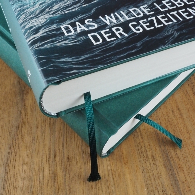 Bild: 9783446254978 | Flut | Das wilde Leben der Gezeiten | Hugh Aldersey-Williams | Buch