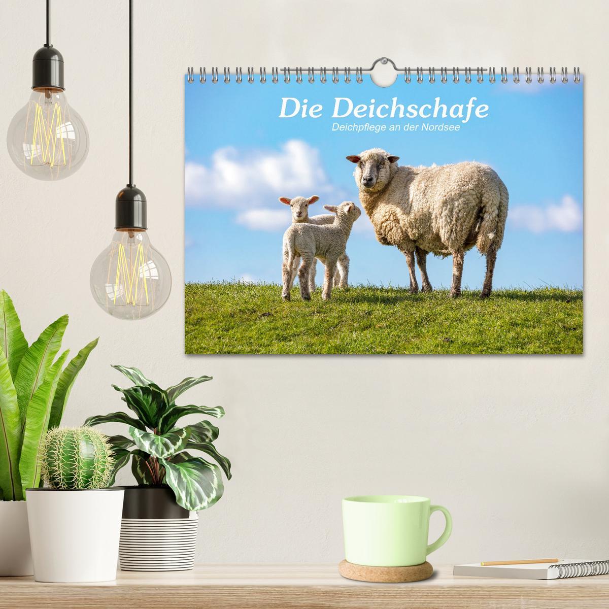 Bild: 9783383966699 | Die Deichschafe. Deichpflege an der Nordsee (Wandkalender 2025 DIN...