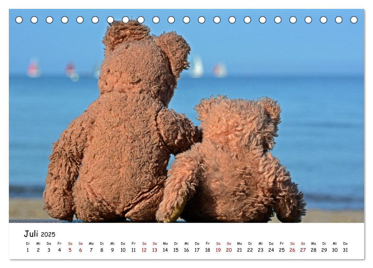 Bild: 9783383964459 | Allerliebste Teddybären (Tischkalender 2025 DIN A5 quer), CALVENDO...