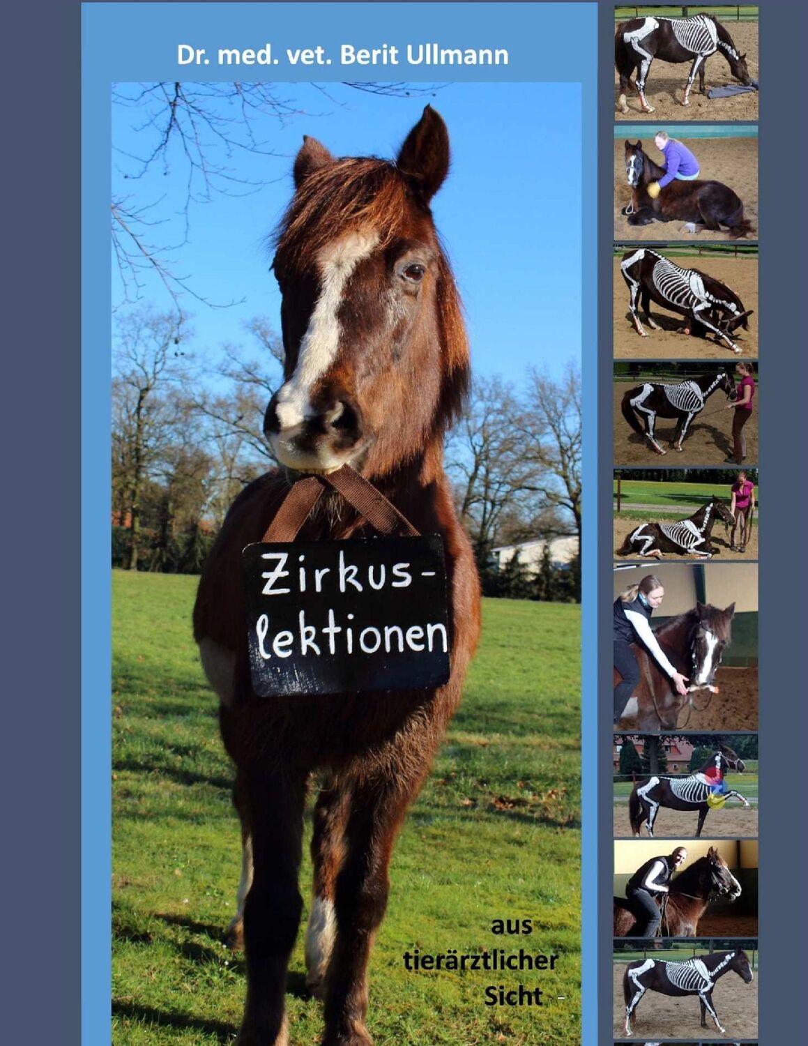 Cover: 9783744837033 | Zirkuslektionen | aus tierärztlicher Sicht | Berit Ullmann | Buch