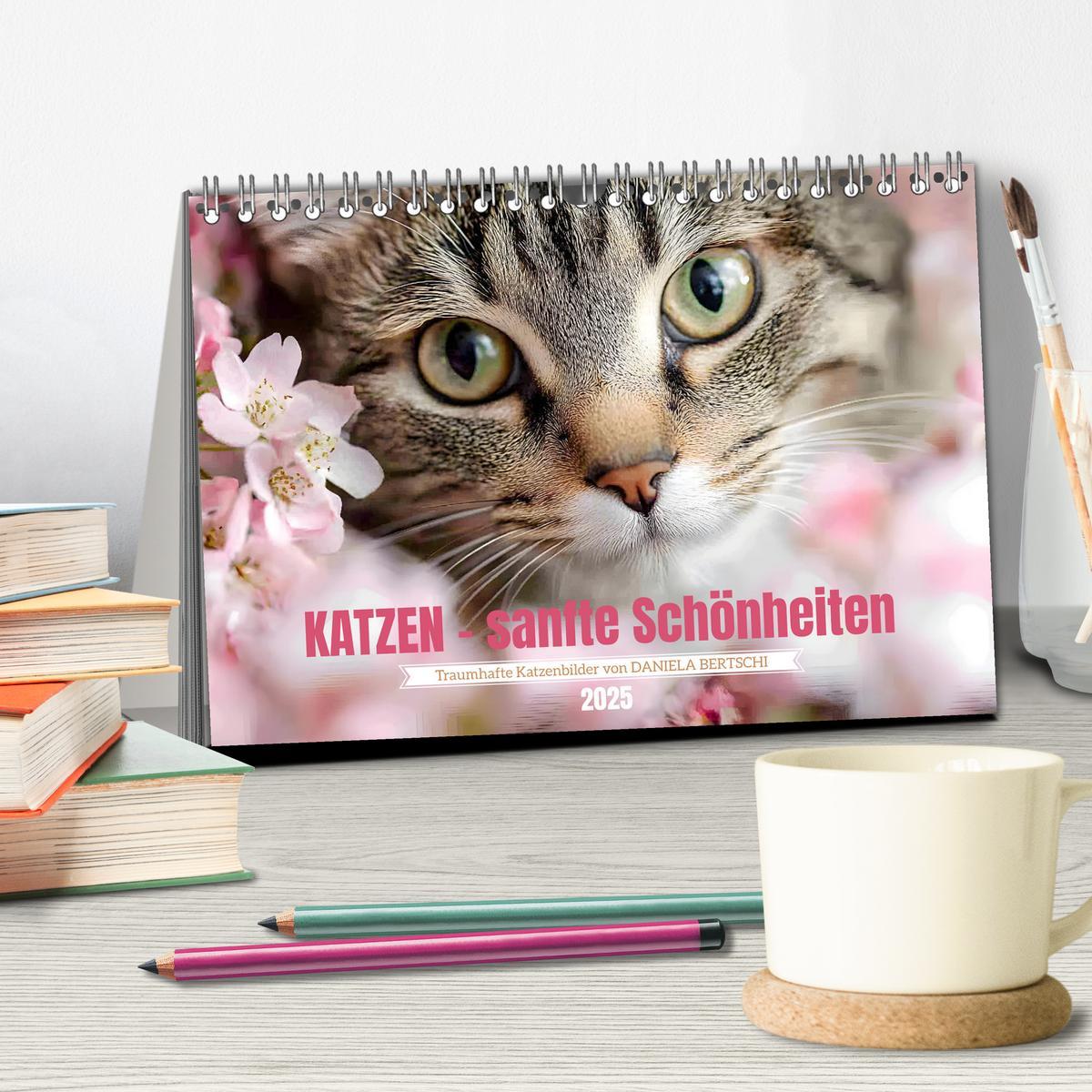 Bild: 9783457203897 | Katzen - sanfte Schönheiten (Tischkalender 2025 DIN A5 quer),...