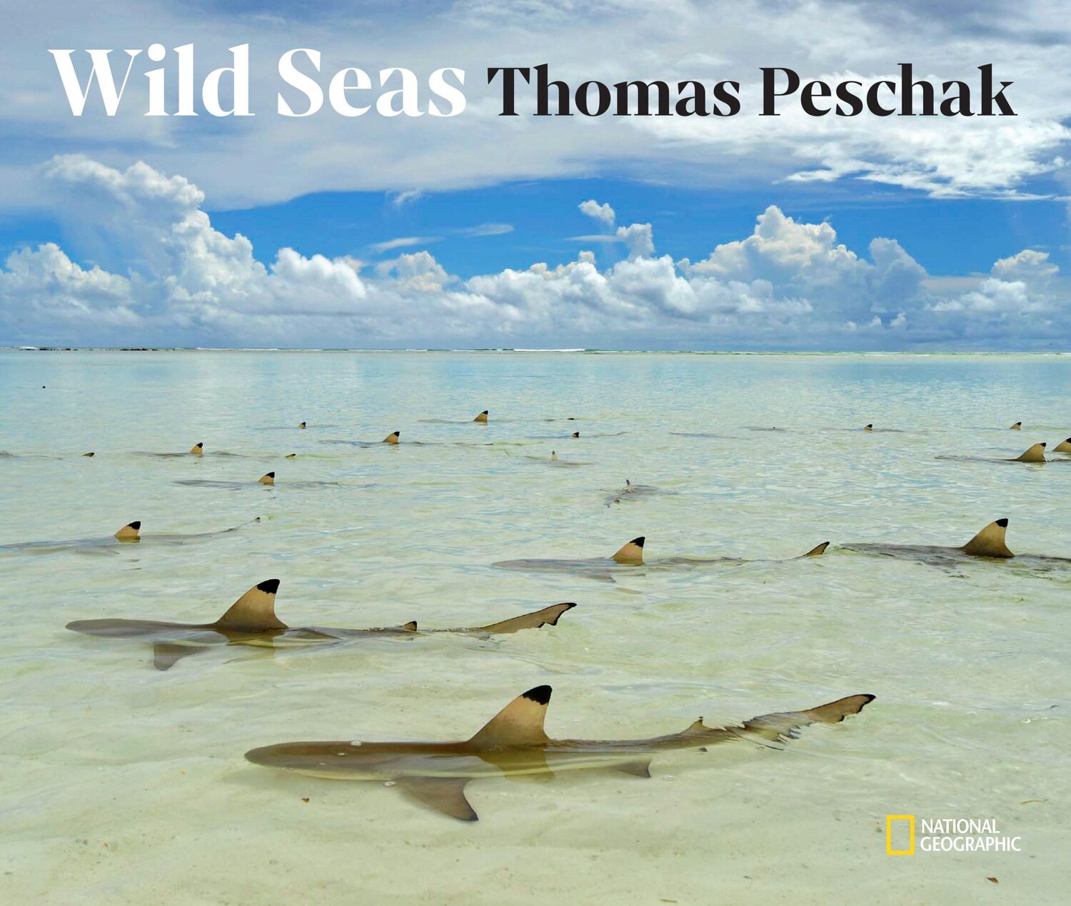 Cover: 9781426221934 | Wild Seas | Thomas Peschak | Buch | Gebunden | Englisch | 2021