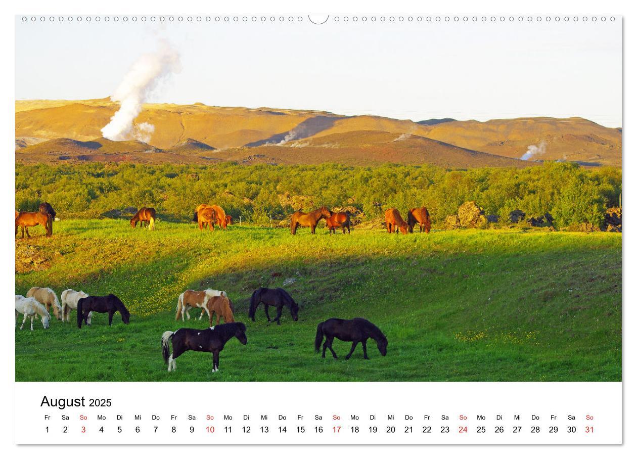 Bild: 9783435613274 | Die Pferde Islands - Ein Streifzug durch Island (Wandkalender 2025...