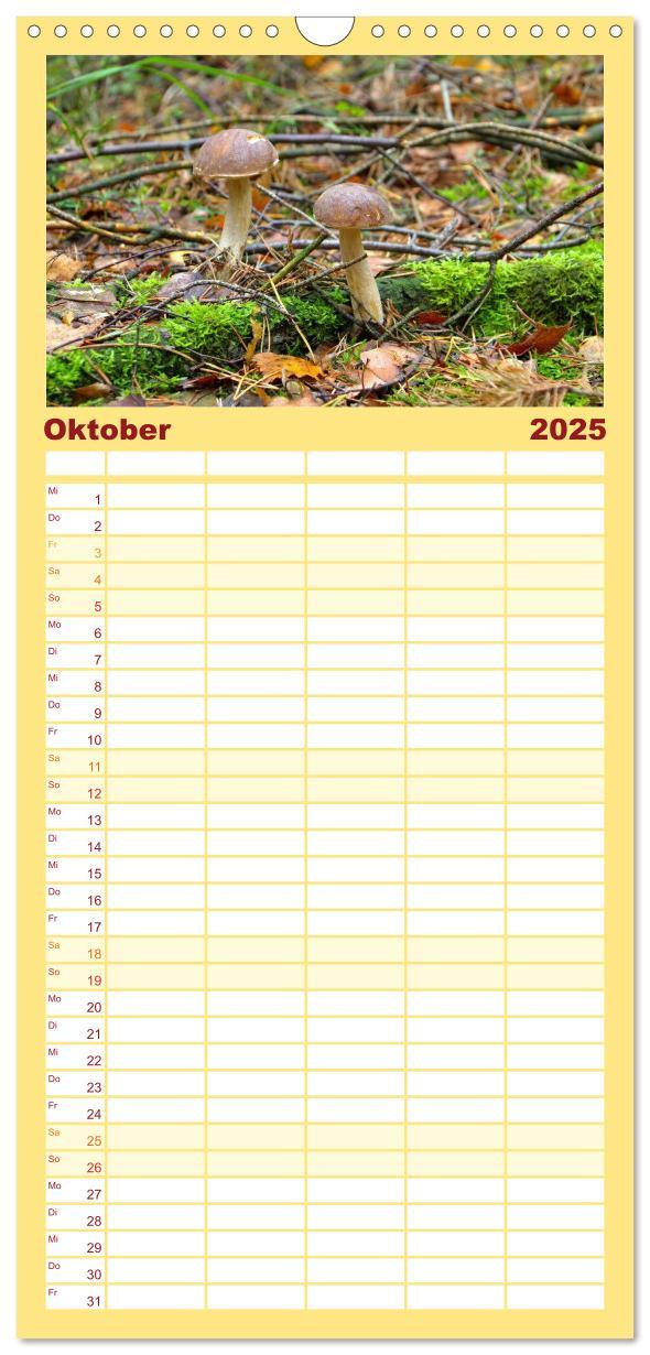 Bild: 9783457104149 | Familienplaner 2025 - Heimische Pilze mit 5 Spalten (Wandkalender,...