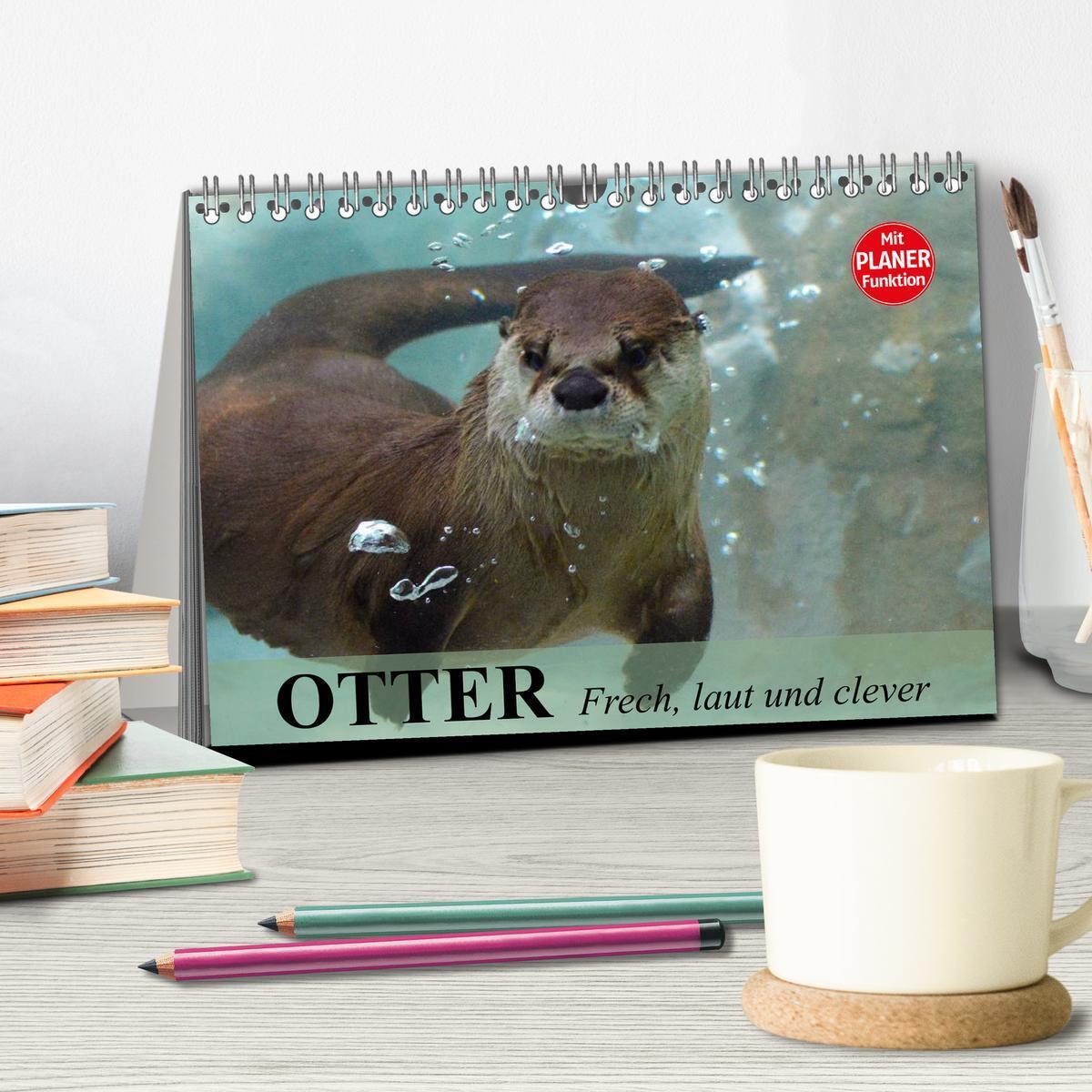 Bild: 9783435548415 | Otter. Frech, laut und clever (Tischkalender 2025 DIN A5 quer),...