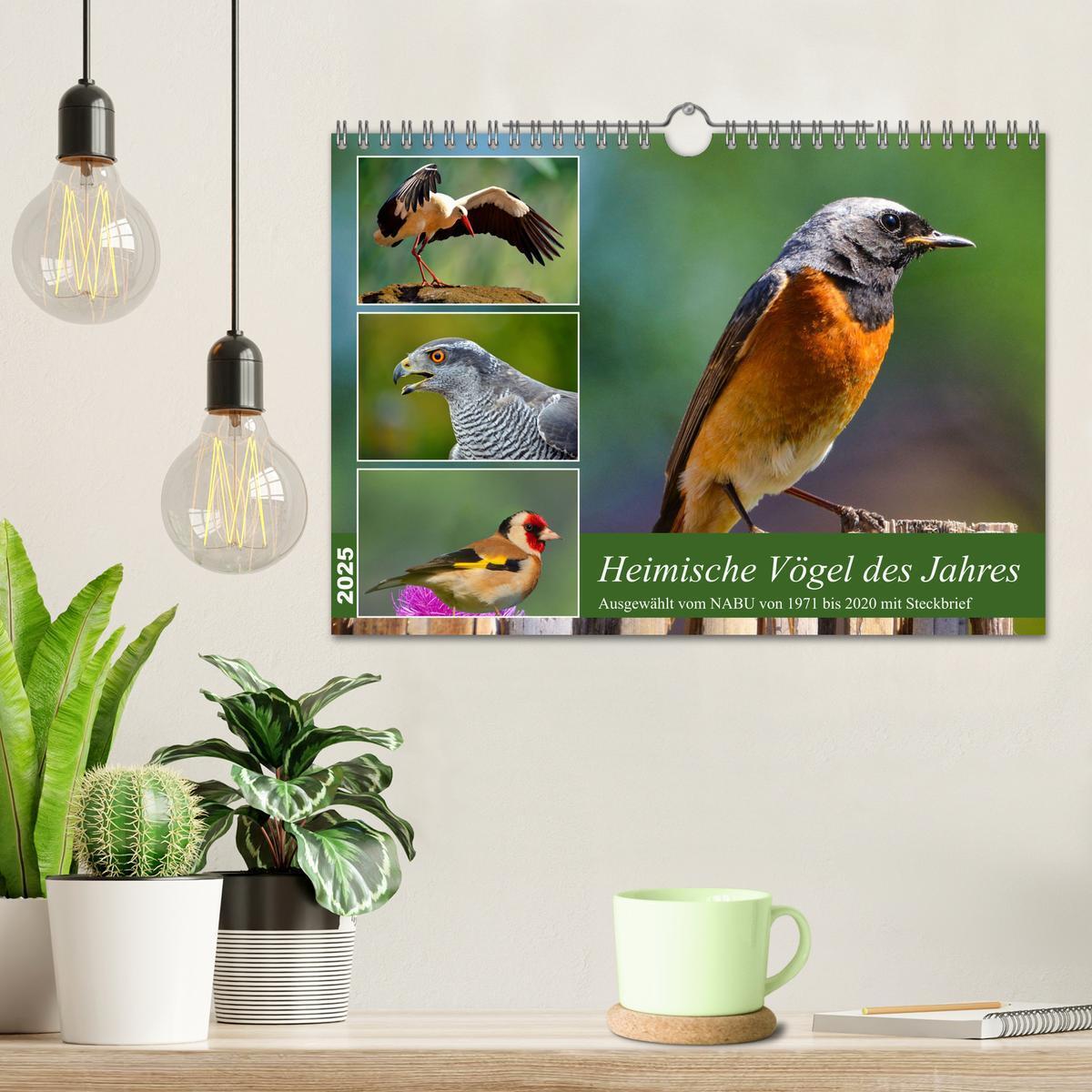 Bild: 9783383861482 | Heimische Vögel des Jahres (Wandkalender 2025 DIN A4 quer),...